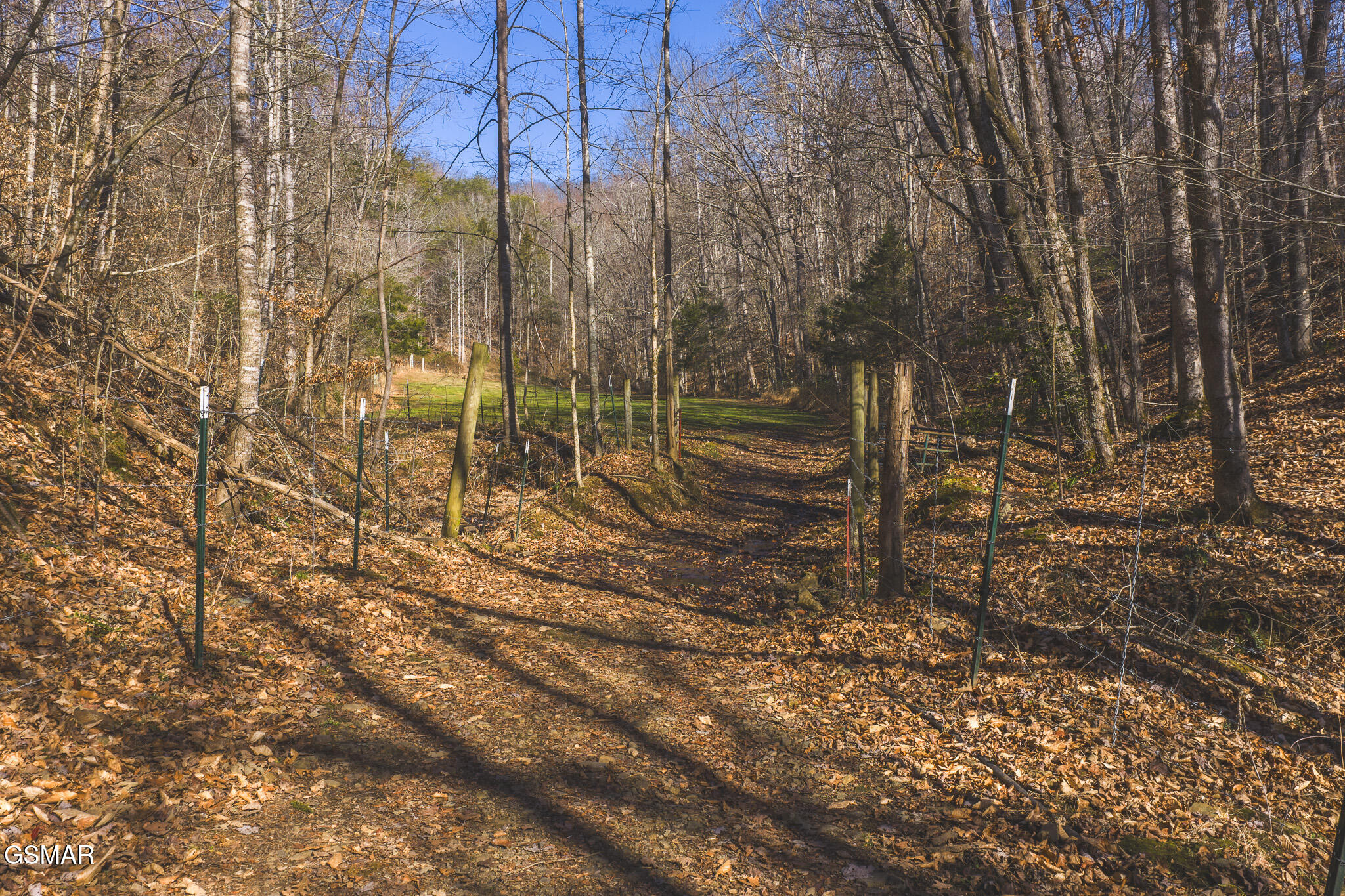 3381 Upper Caney Valley Road Tazewell TN 37879