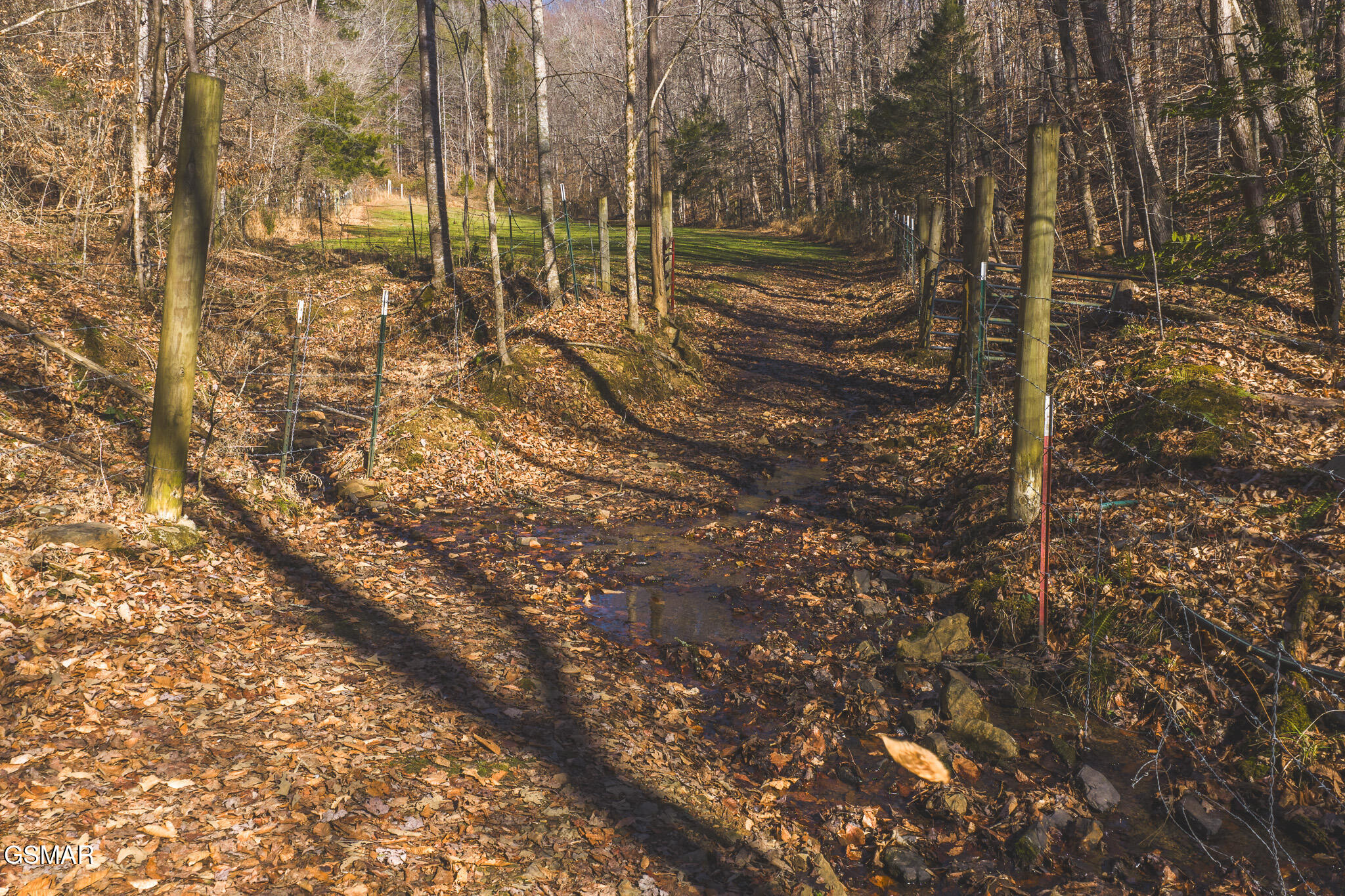 3381 Upper Caney Valley Road Tazewell TN 37879