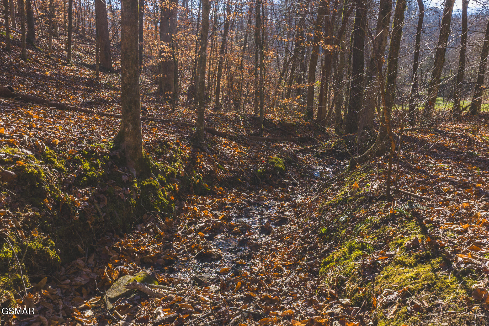 3381 Upper Caney Valley Road Tazewell TN 37879