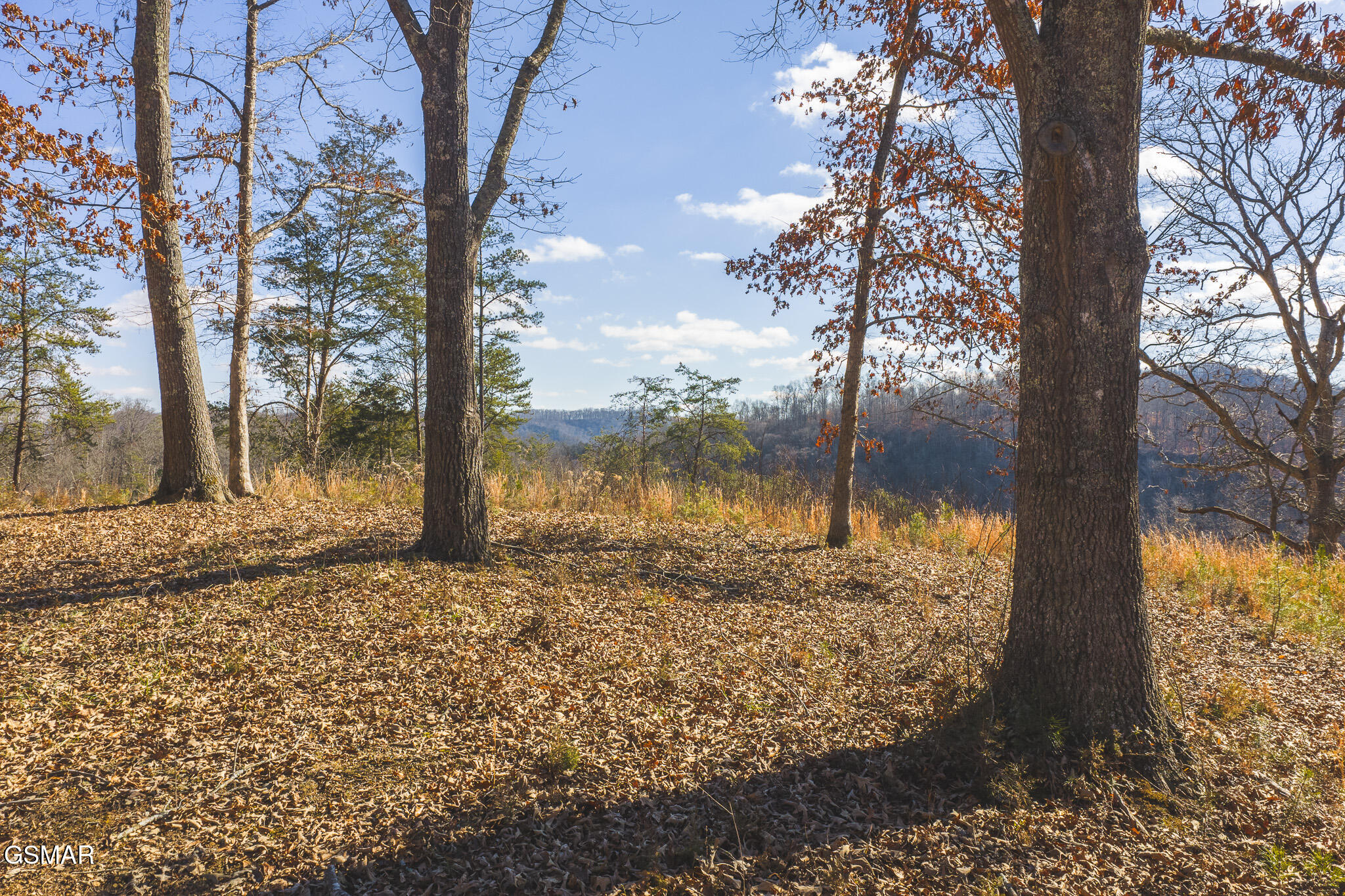 3381 Upper Caney Valley Road Tazewell TN 37879