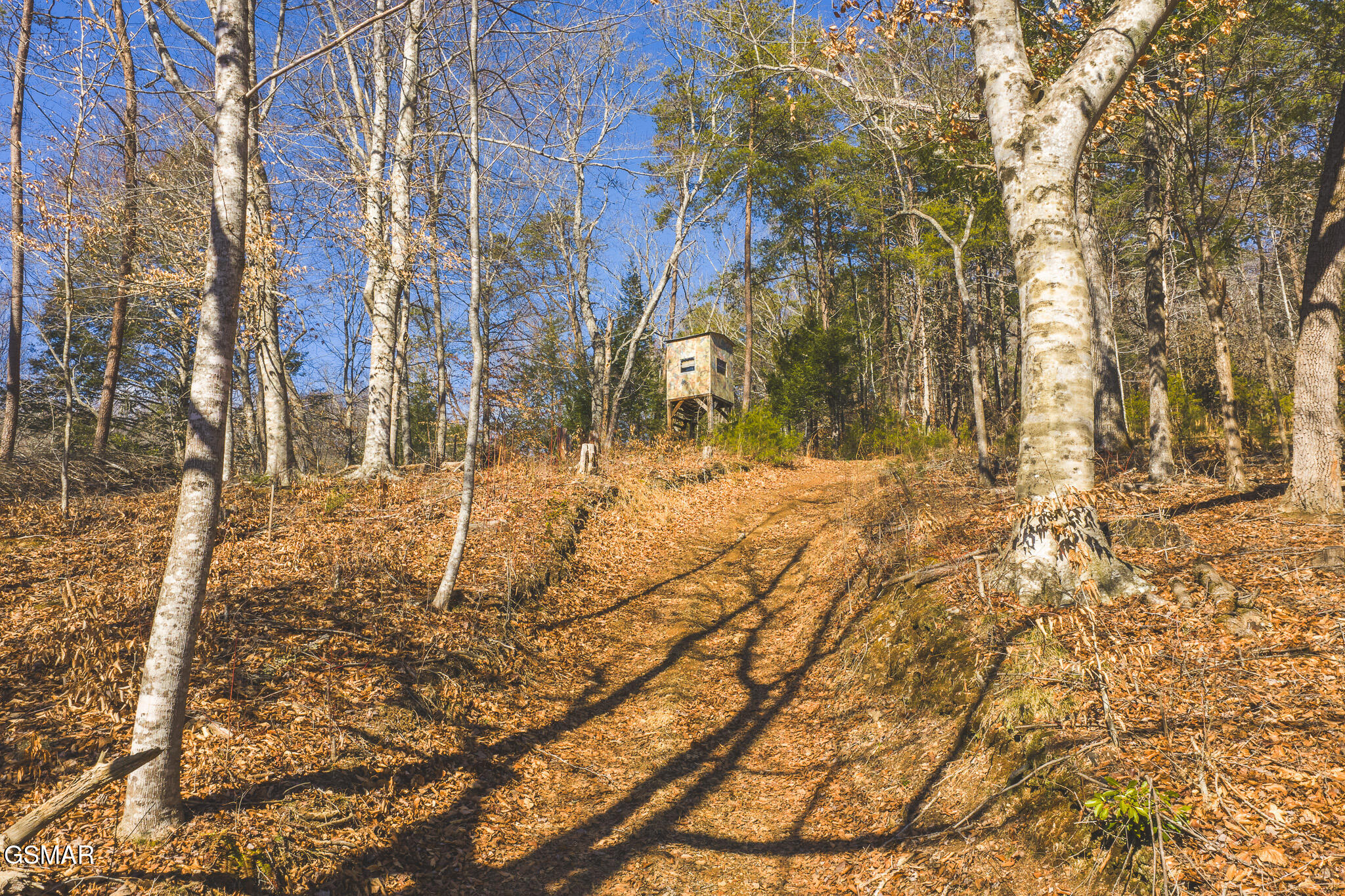 3381 Upper Caney Valley Road Tazewell TN 37879