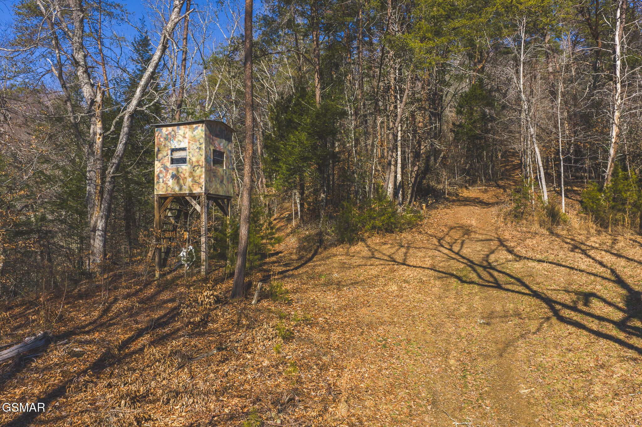 3381 Upper Caney Valley Road Tazewell TN 37879