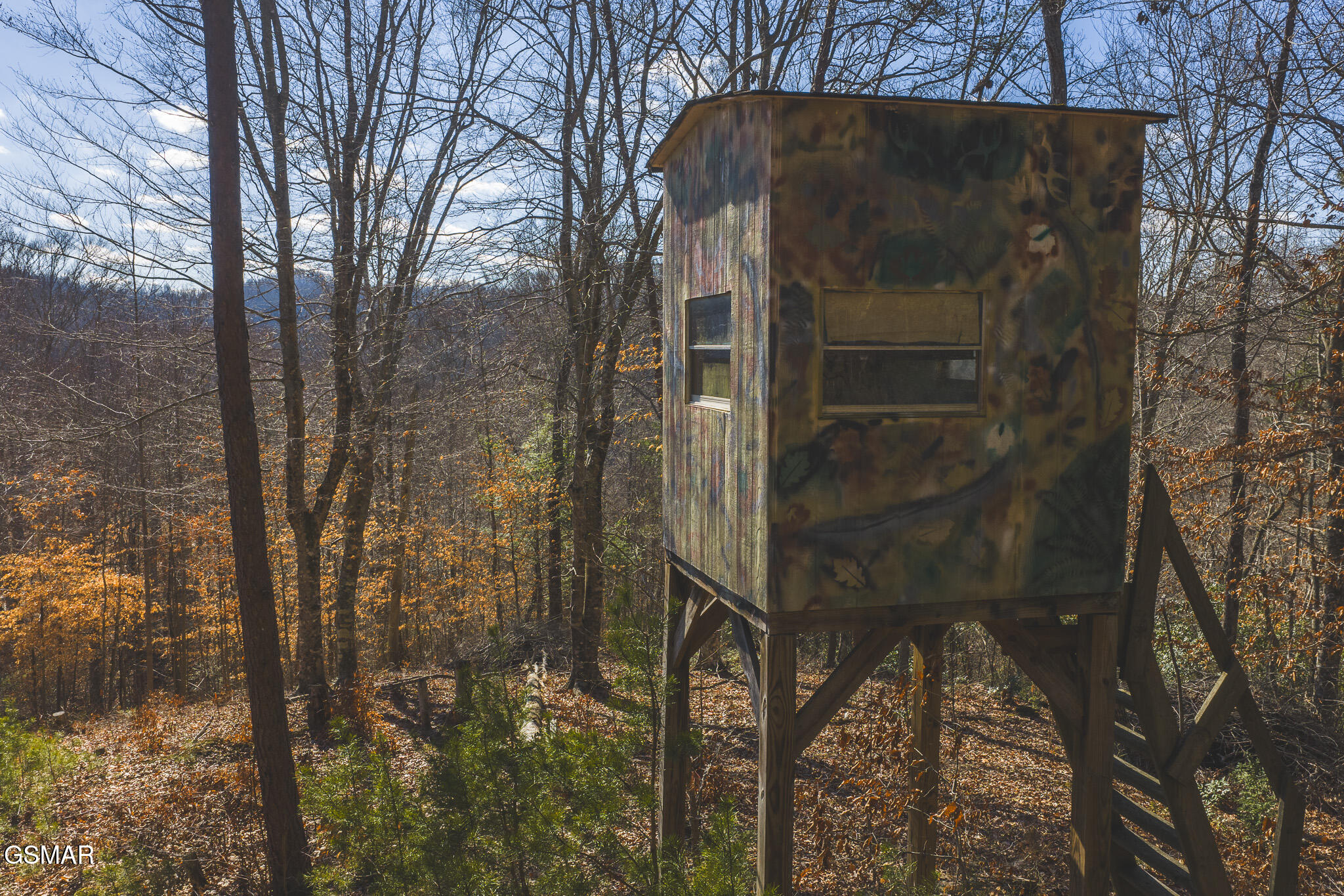 3381 Upper Caney Valley Road Tazewell TN 37879