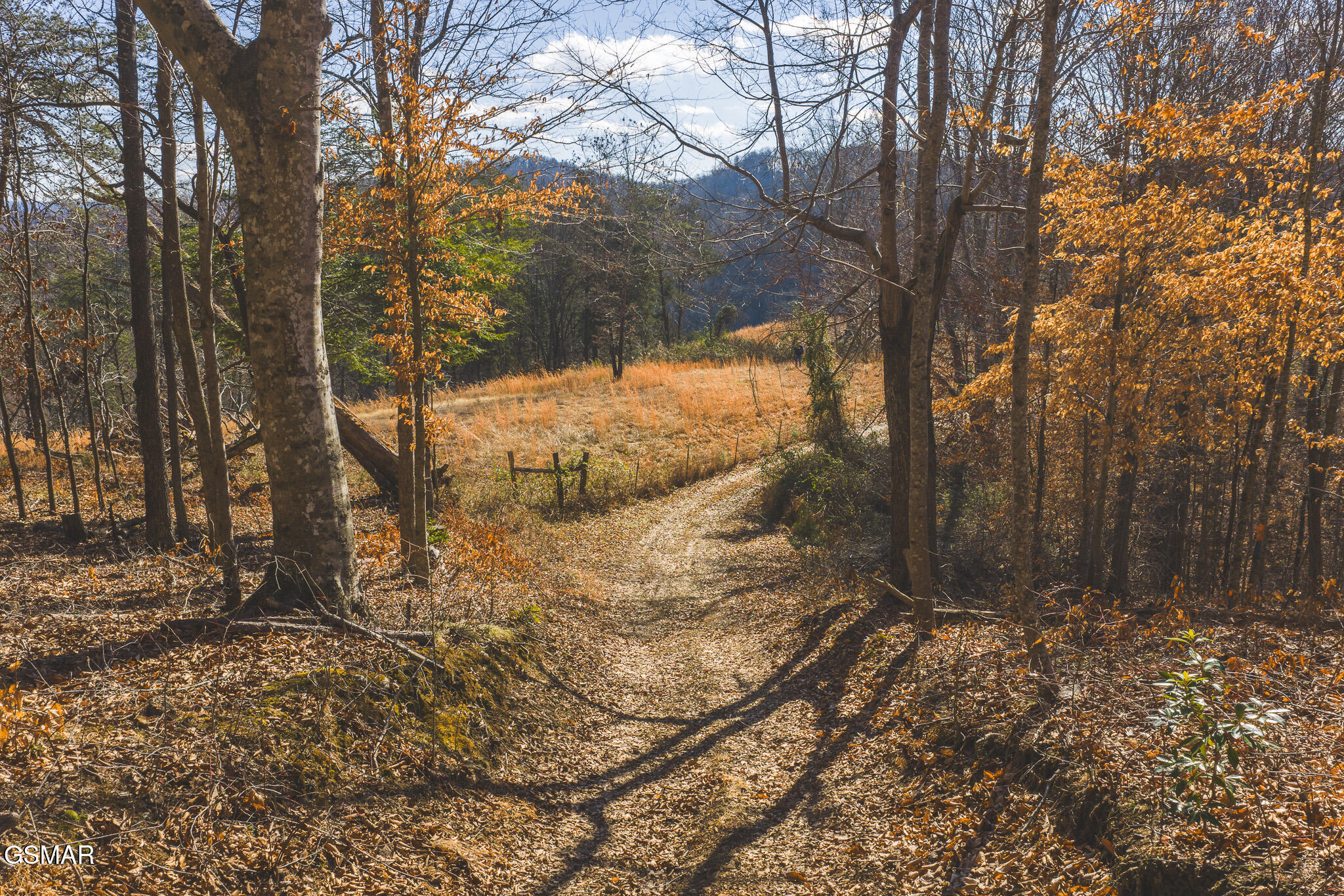 3381 Upper Caney Valley Road Tazewell TN 37879