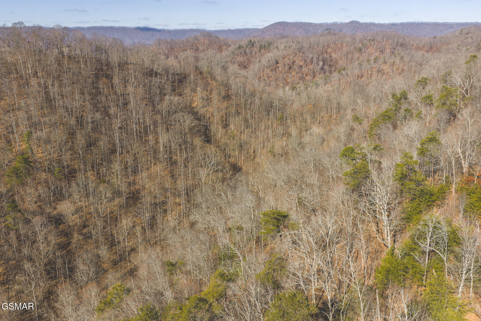 3381 Upper Caney Valley Road Tazewell TN 37879