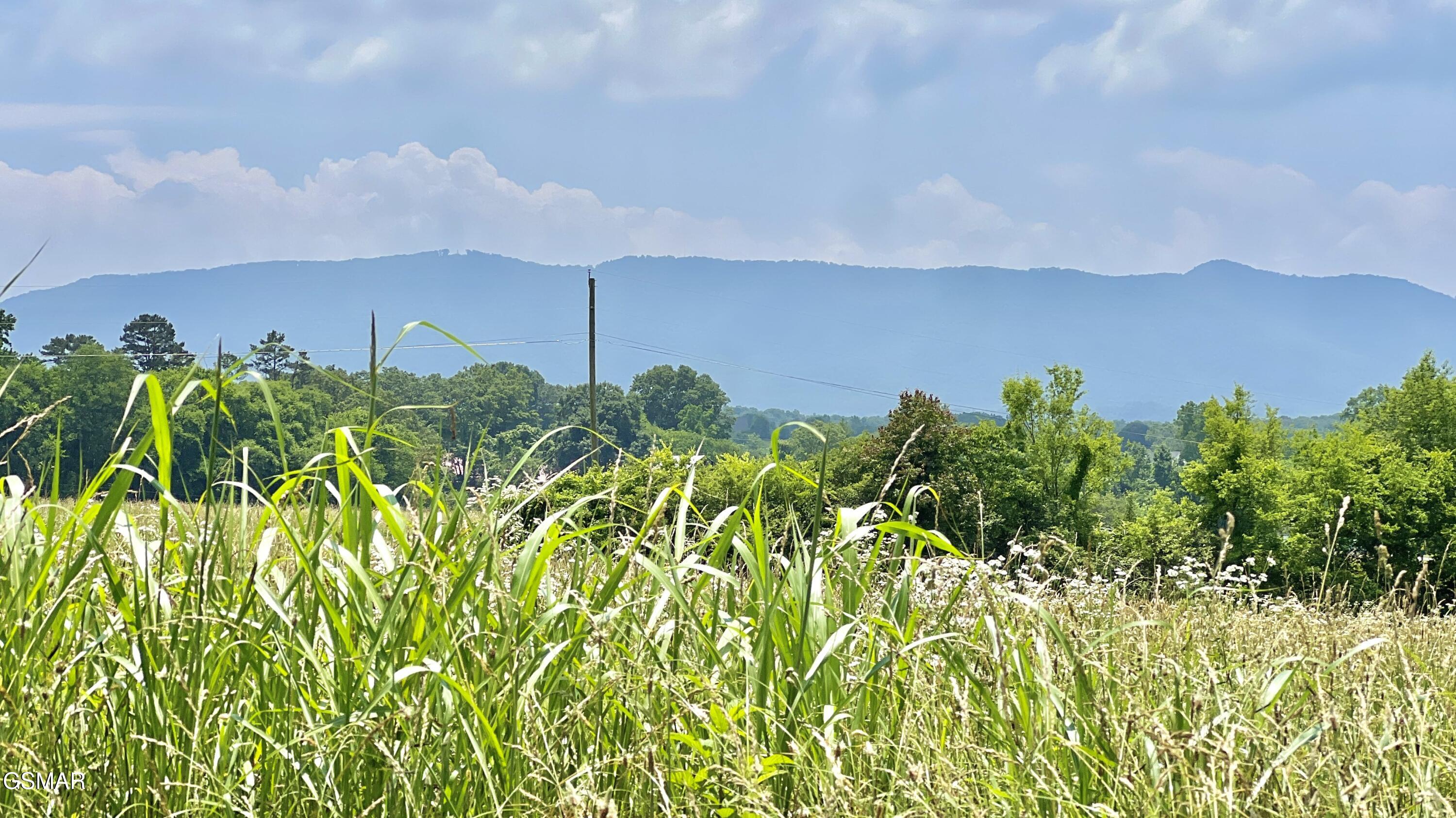 1575 Burnett Station Road Seymour TN 37865