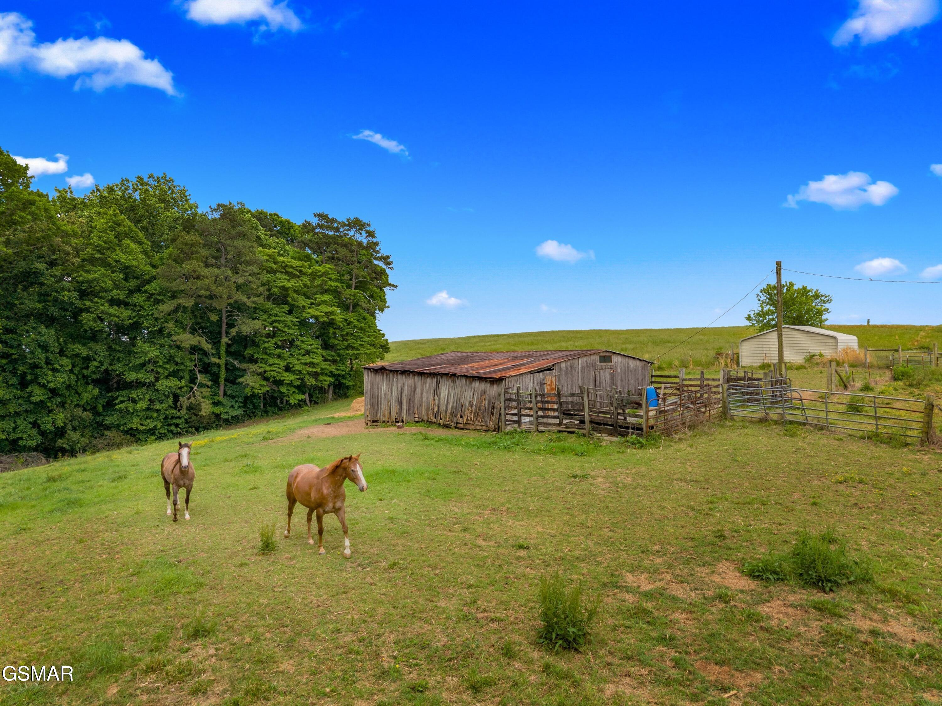 480 Longmire Road Rutledge TN 37861