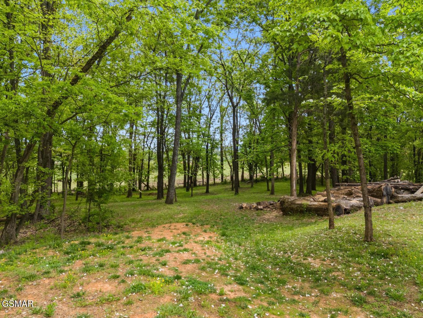 2180 Ranch Road Dandridge TN 37725