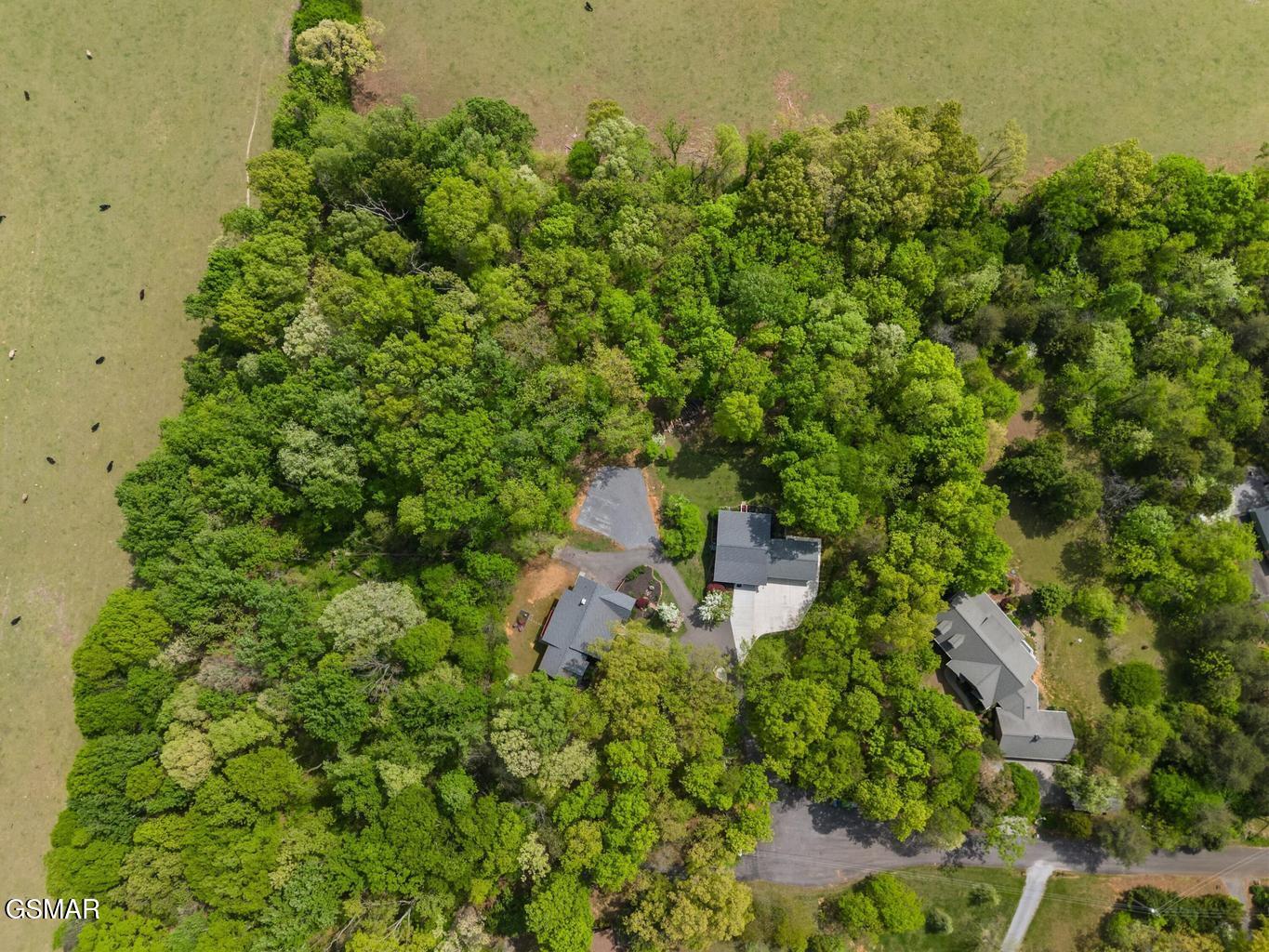 2180 Ranch Road Dandridge TN 37725