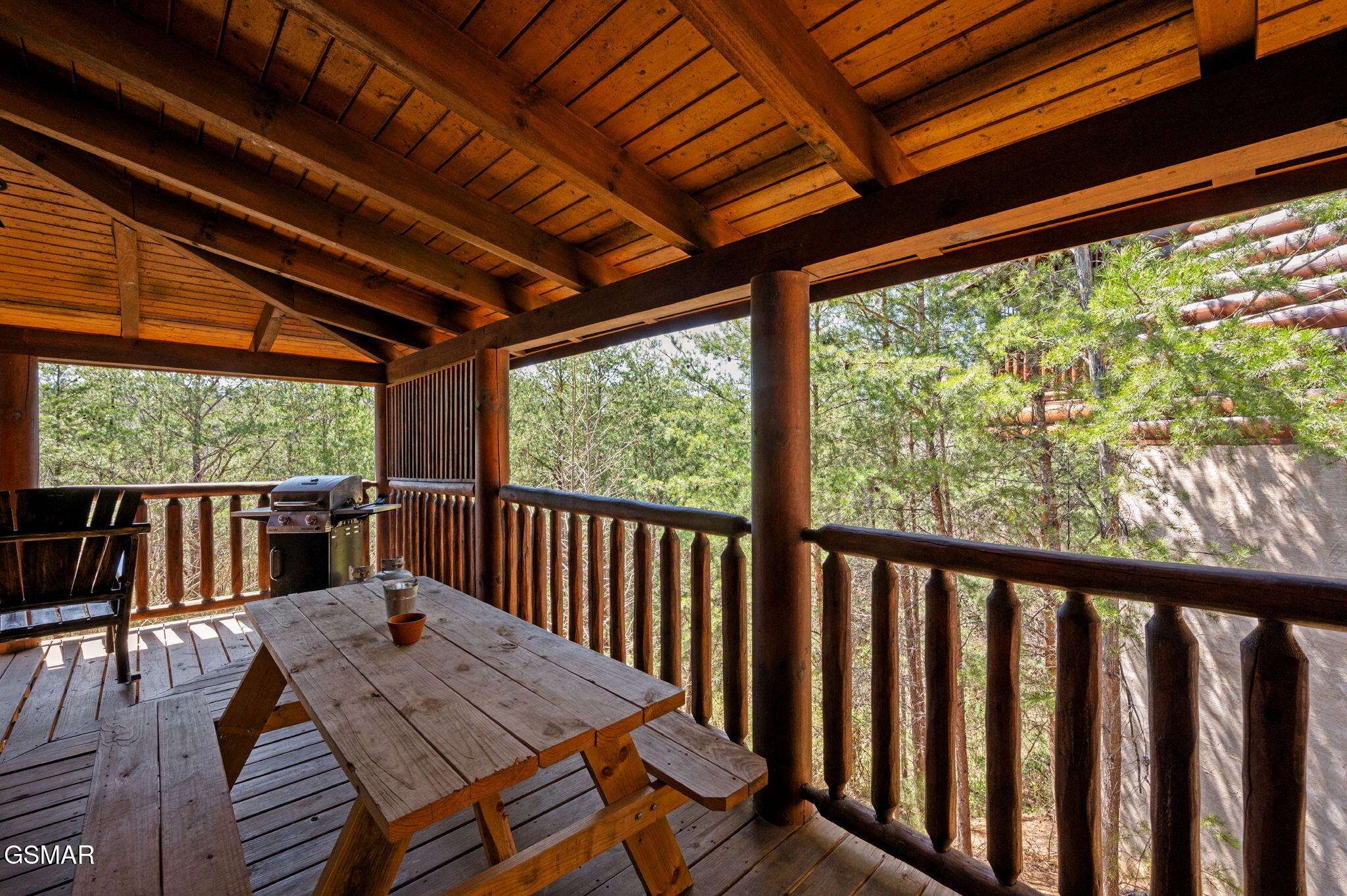 1808 Panther Path Way Sevierville TN 37876