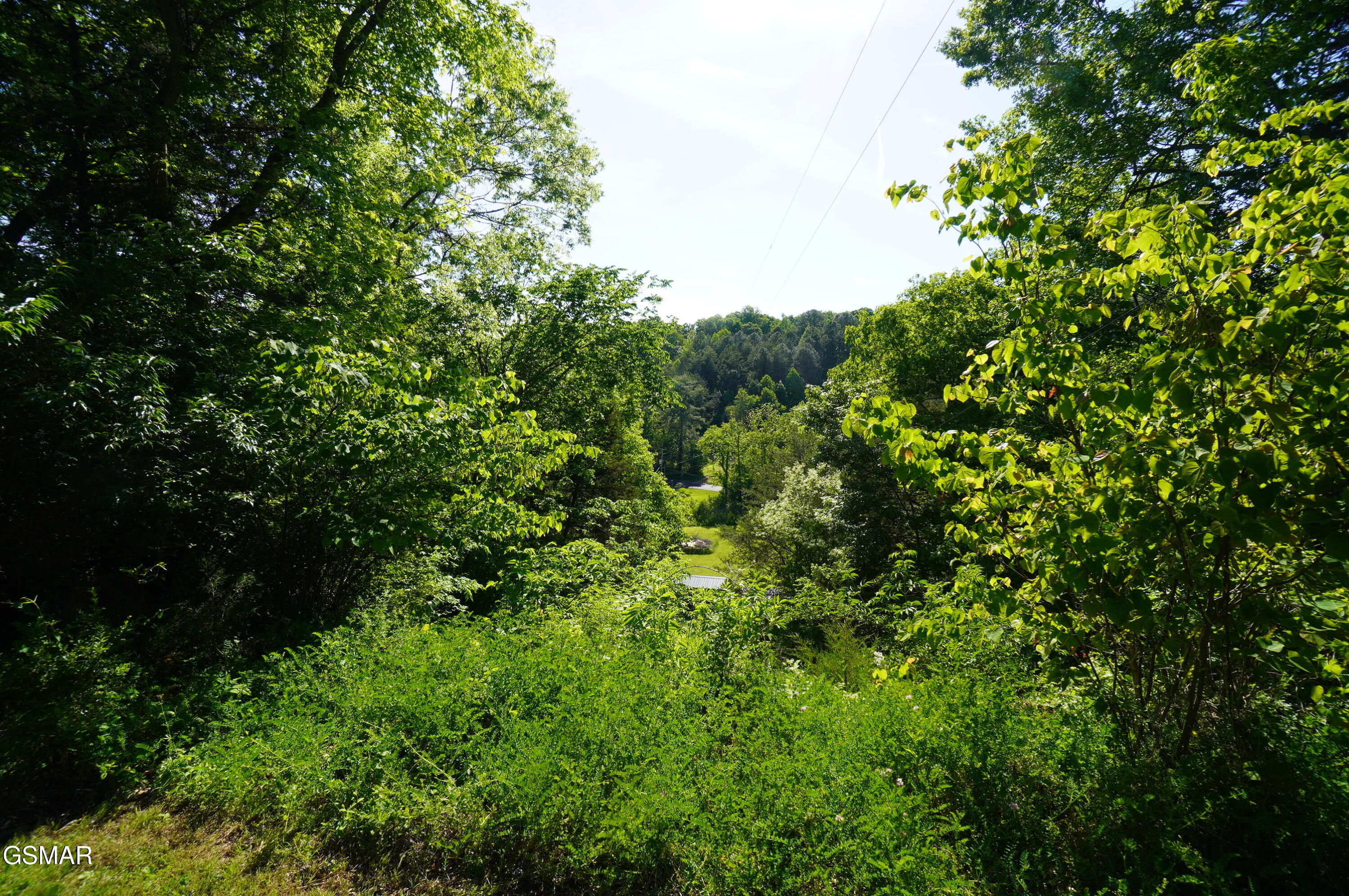 680 Hale Brook Road Newport TN 37821