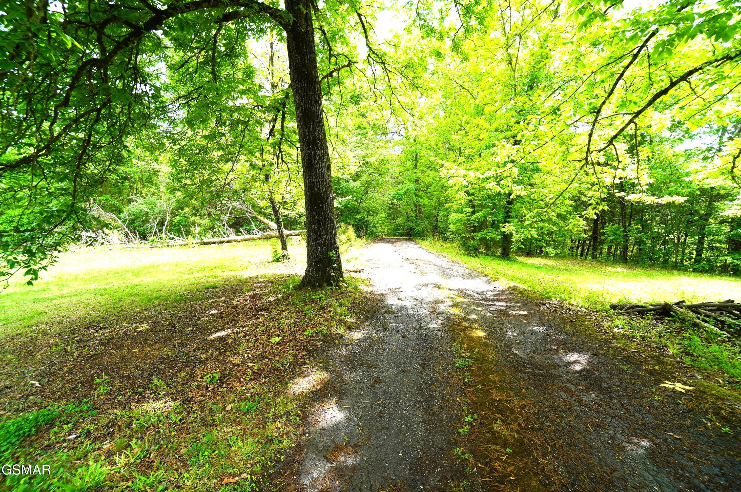 680 Hale Brook Road Newport TN 37821