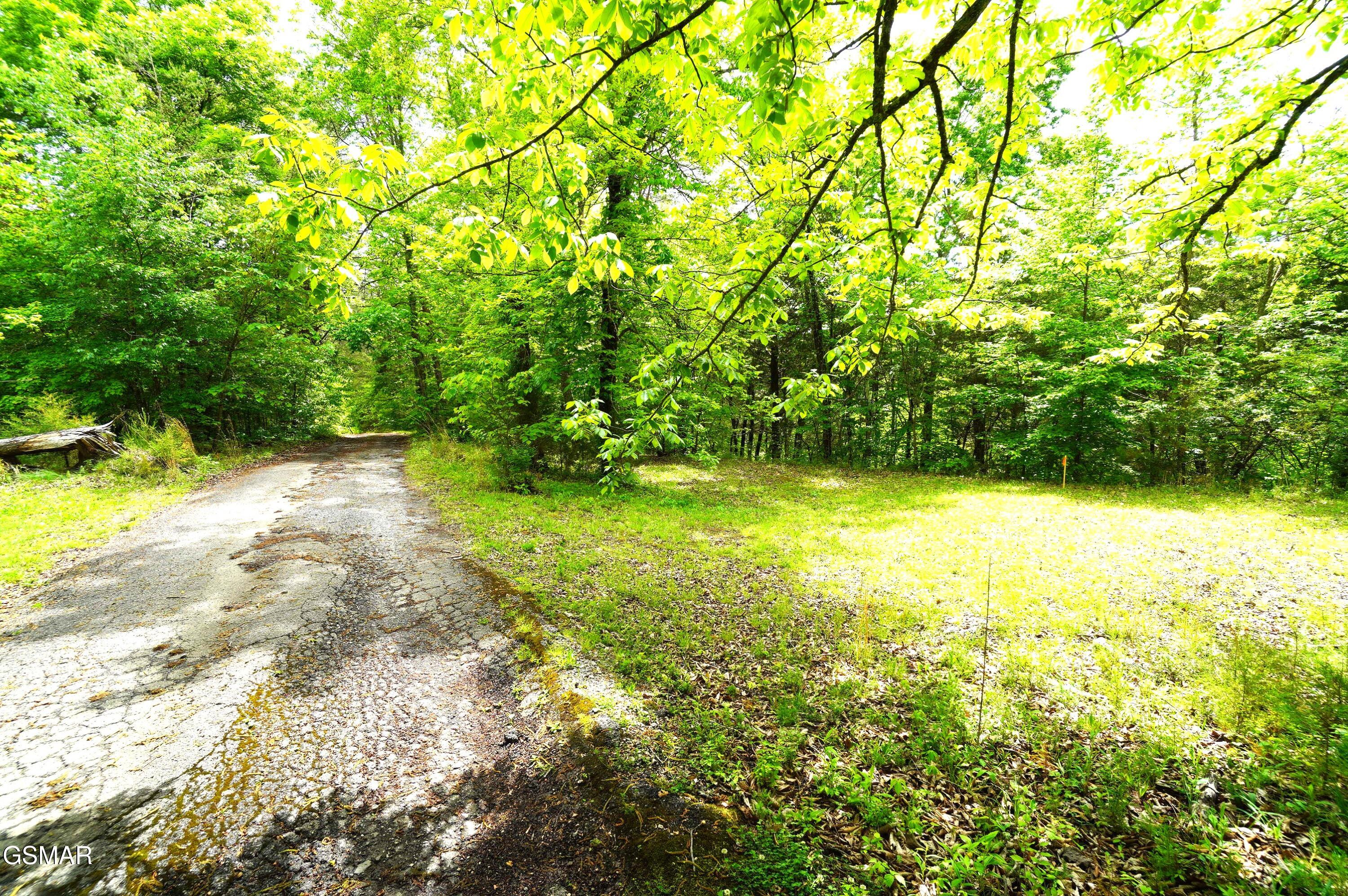 680 Hale Brook Road Newport TN 37821