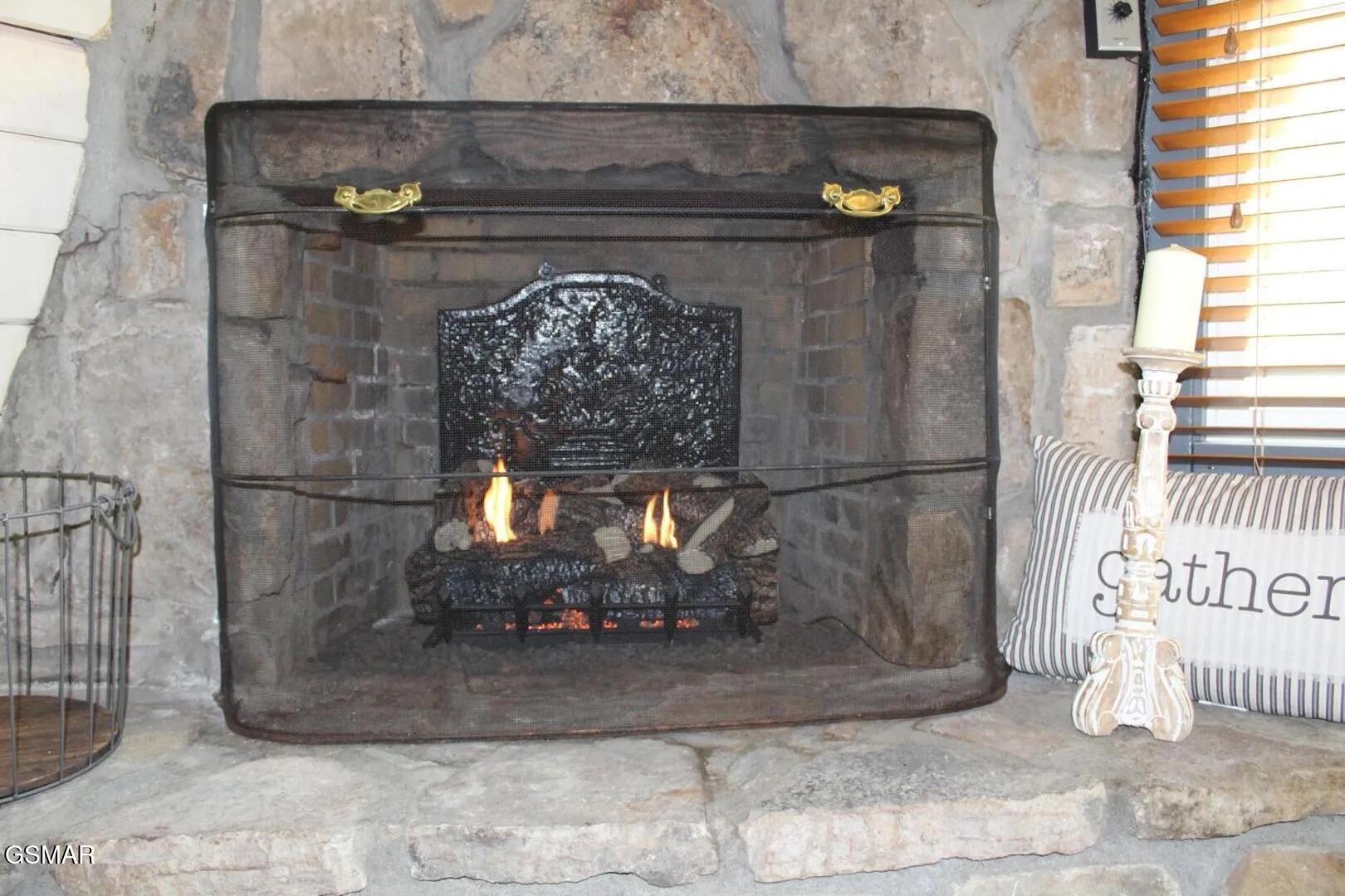 1116 Alpenrose Drive Gatlinburg TN 37738