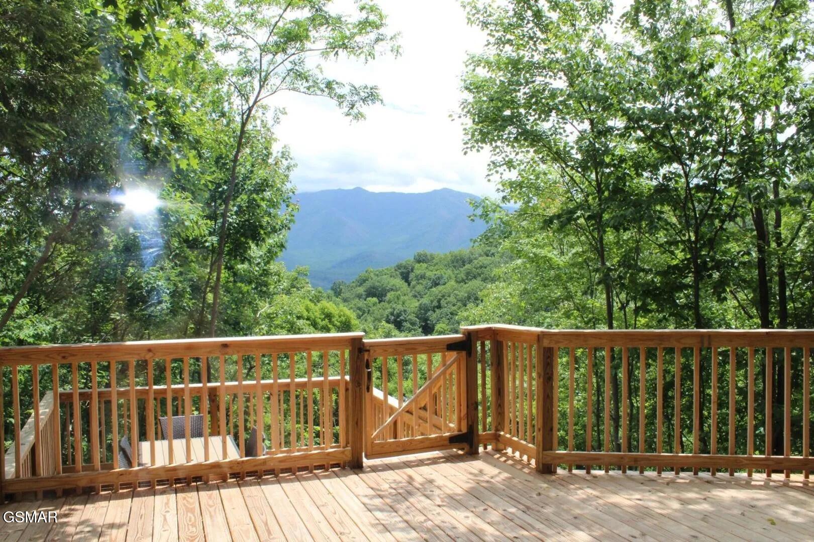 1116 Alpenrose Drive Gatlinburg TN 37738