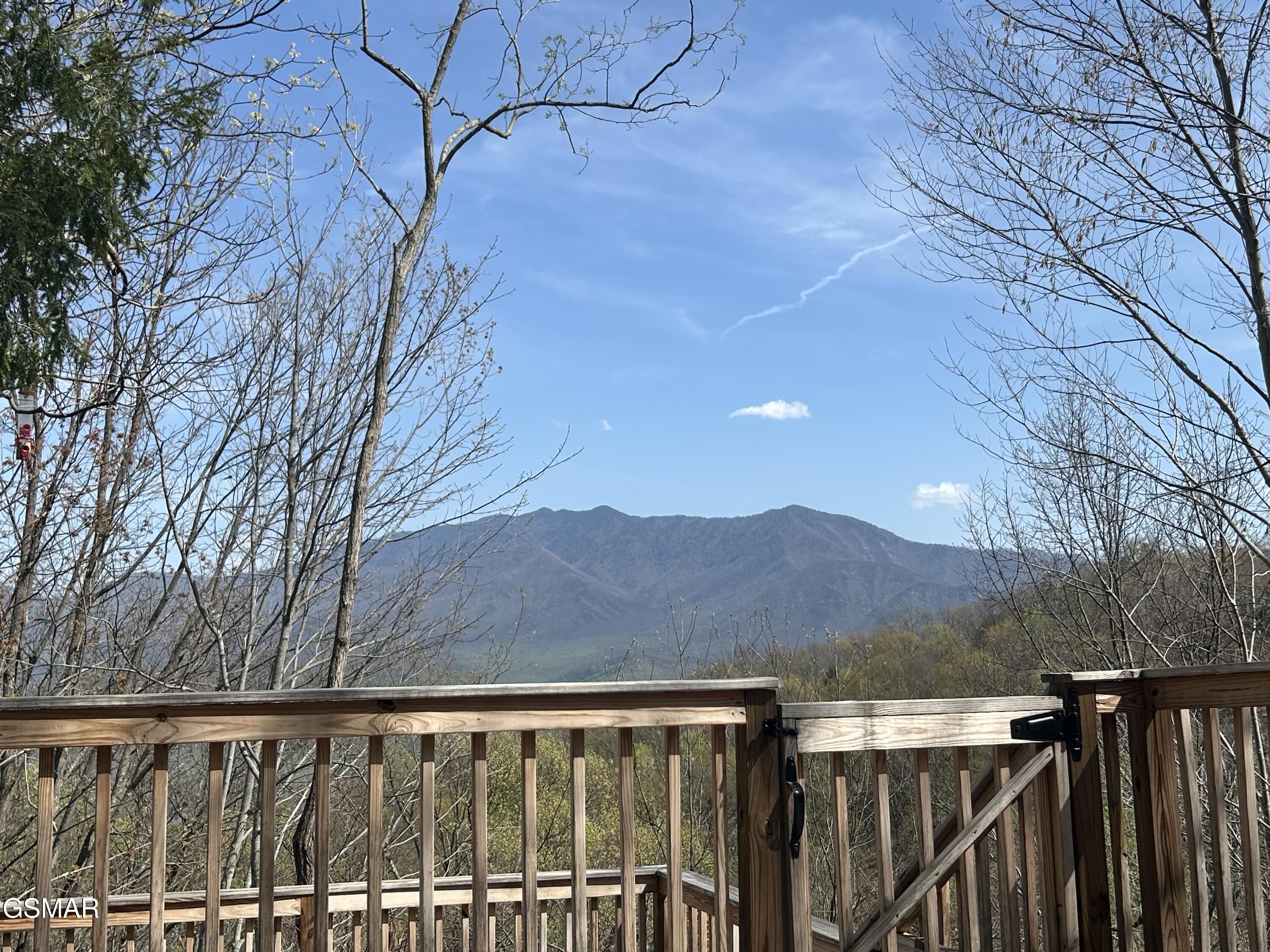 1116 Alpenrose Drive Gatlinburg TN 37738
