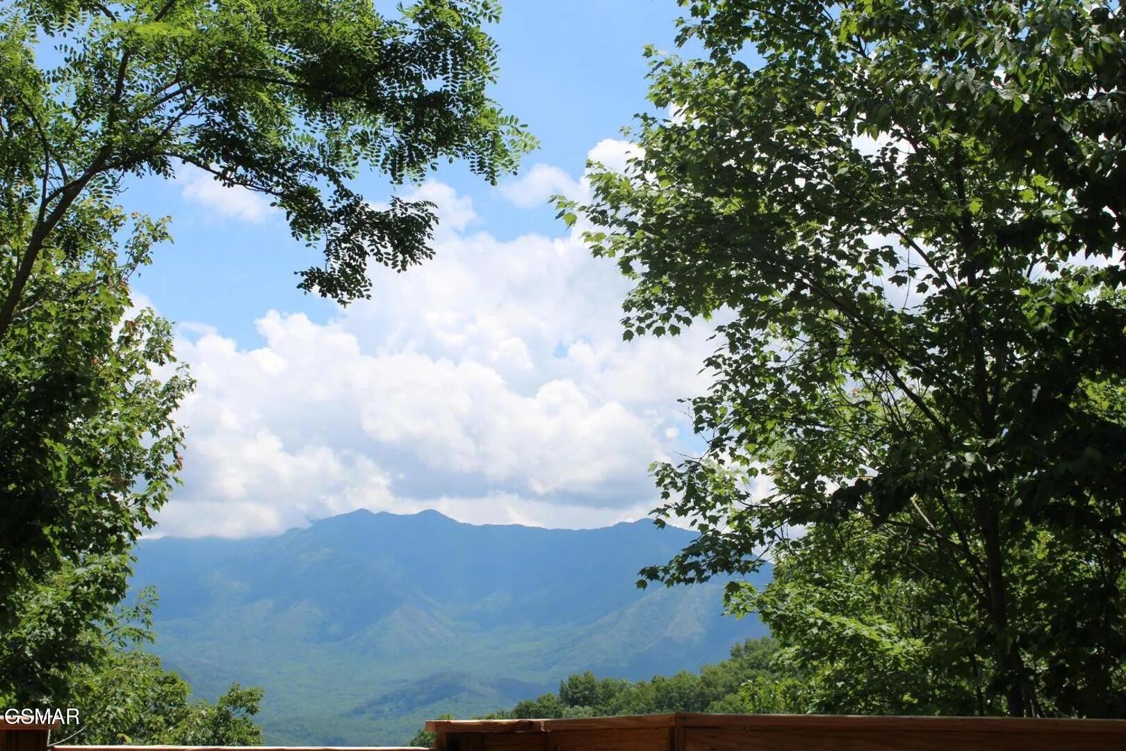 1116 Alpenrose Drive Gatlinburg TN 37738