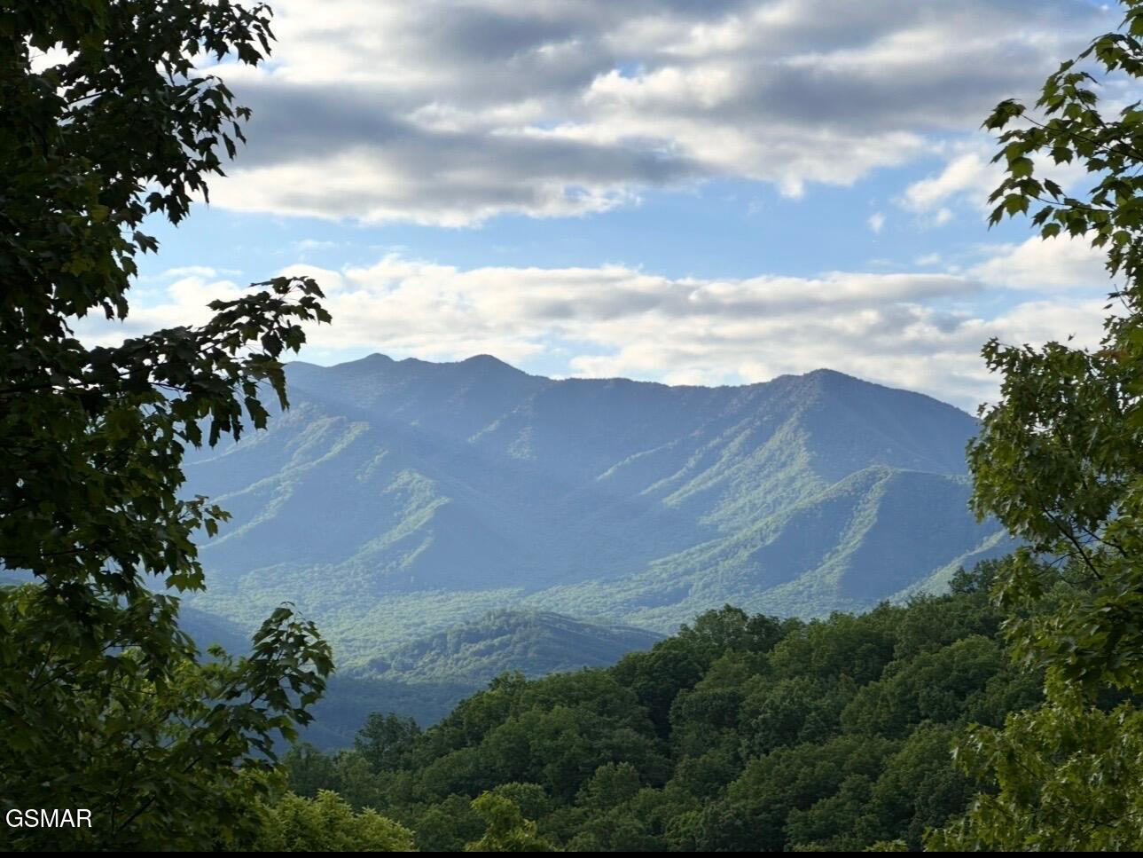 1116 Alpenrose Drive Gatlinburg TN 37738