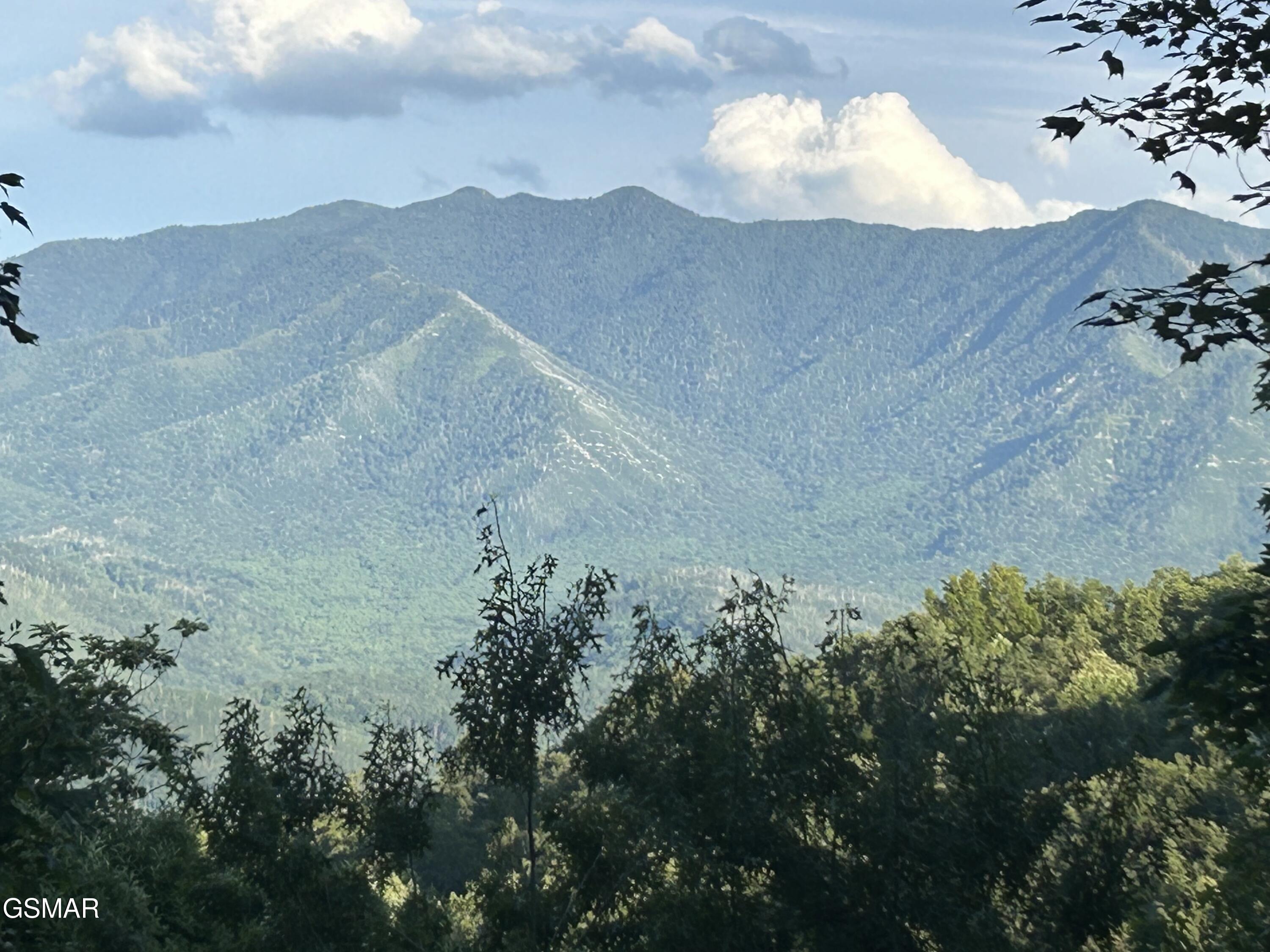 1116 Alpenrose Drive Gatlinburg TN 37738