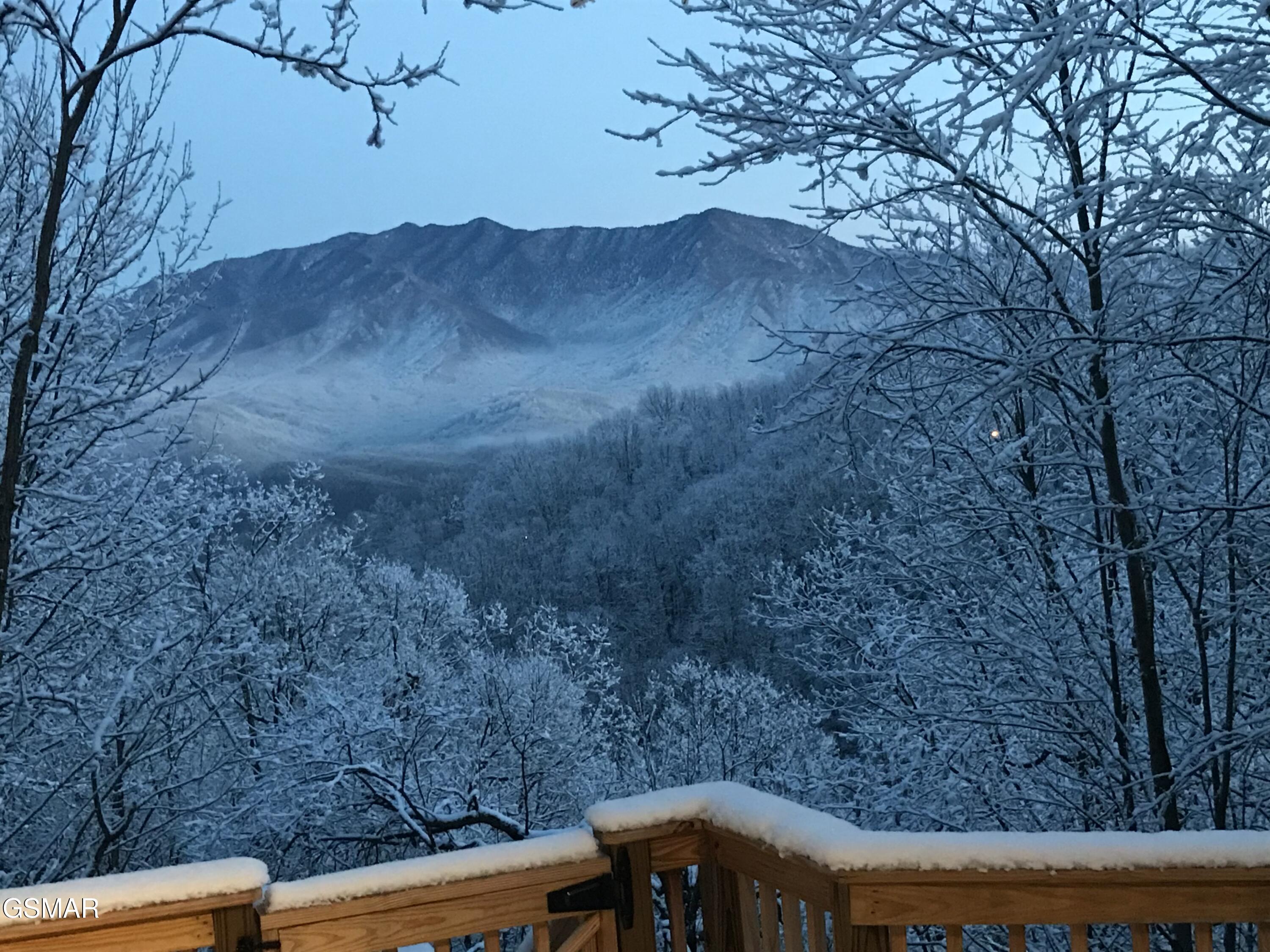 1116 Alpenrose Drive Gatlinburg TN 37738