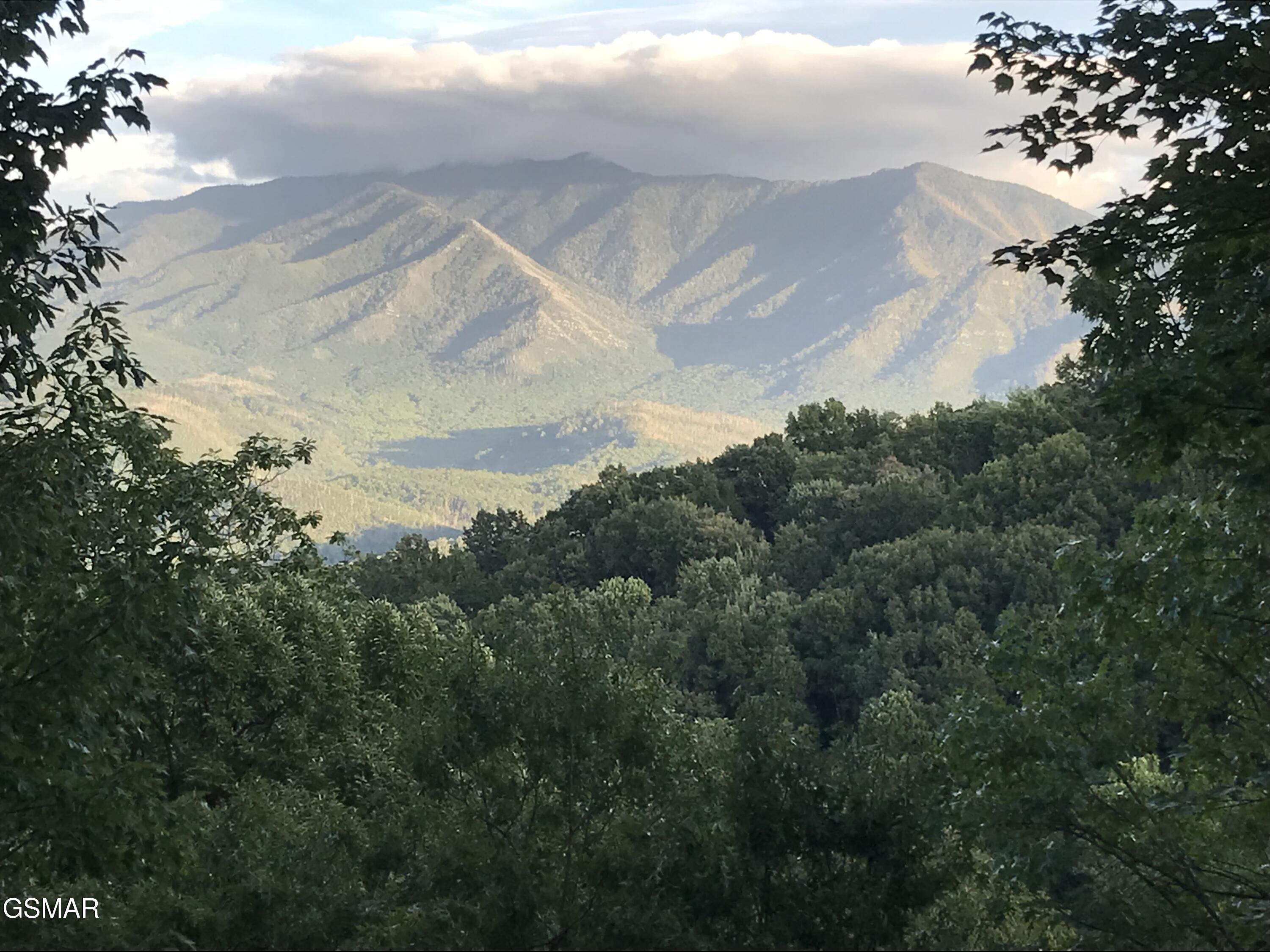 1116 Alpenrose Drive Gatlinburg TN 37738