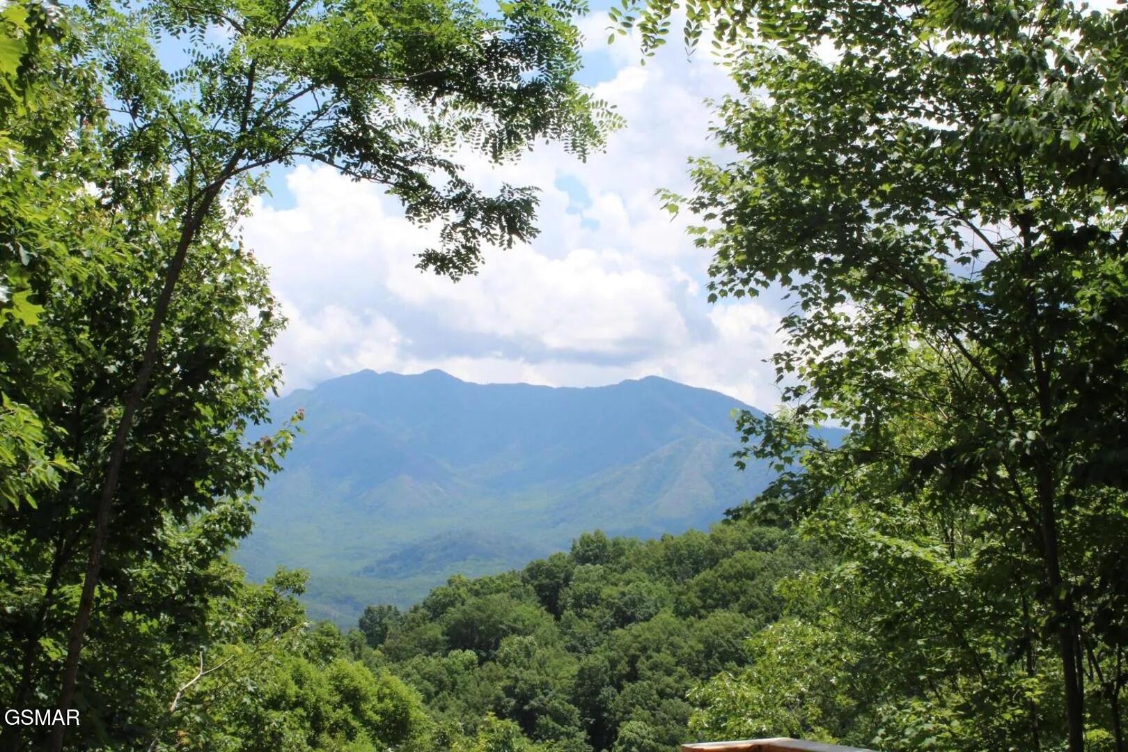 1116 Alpenrose Drive Gatlinburg TN 37738
