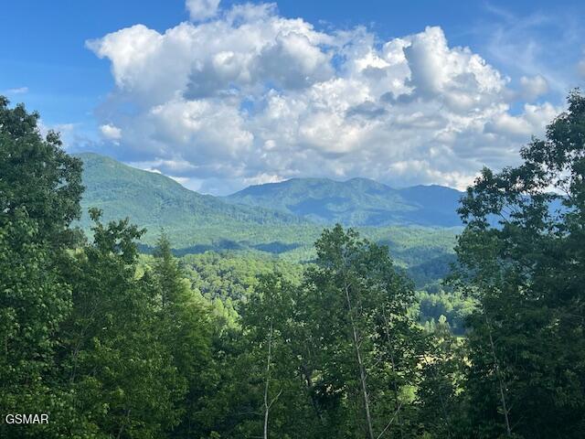 5262 Riversong Way Sevierville TN 37876