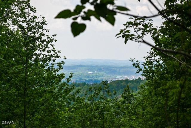 1444 Indian Court Sevierville TN 37876