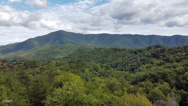 - Round Top Way Sevierville TN 37862