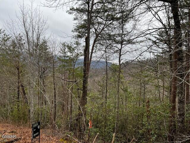 - Round Top Way Sevierville TN 37862