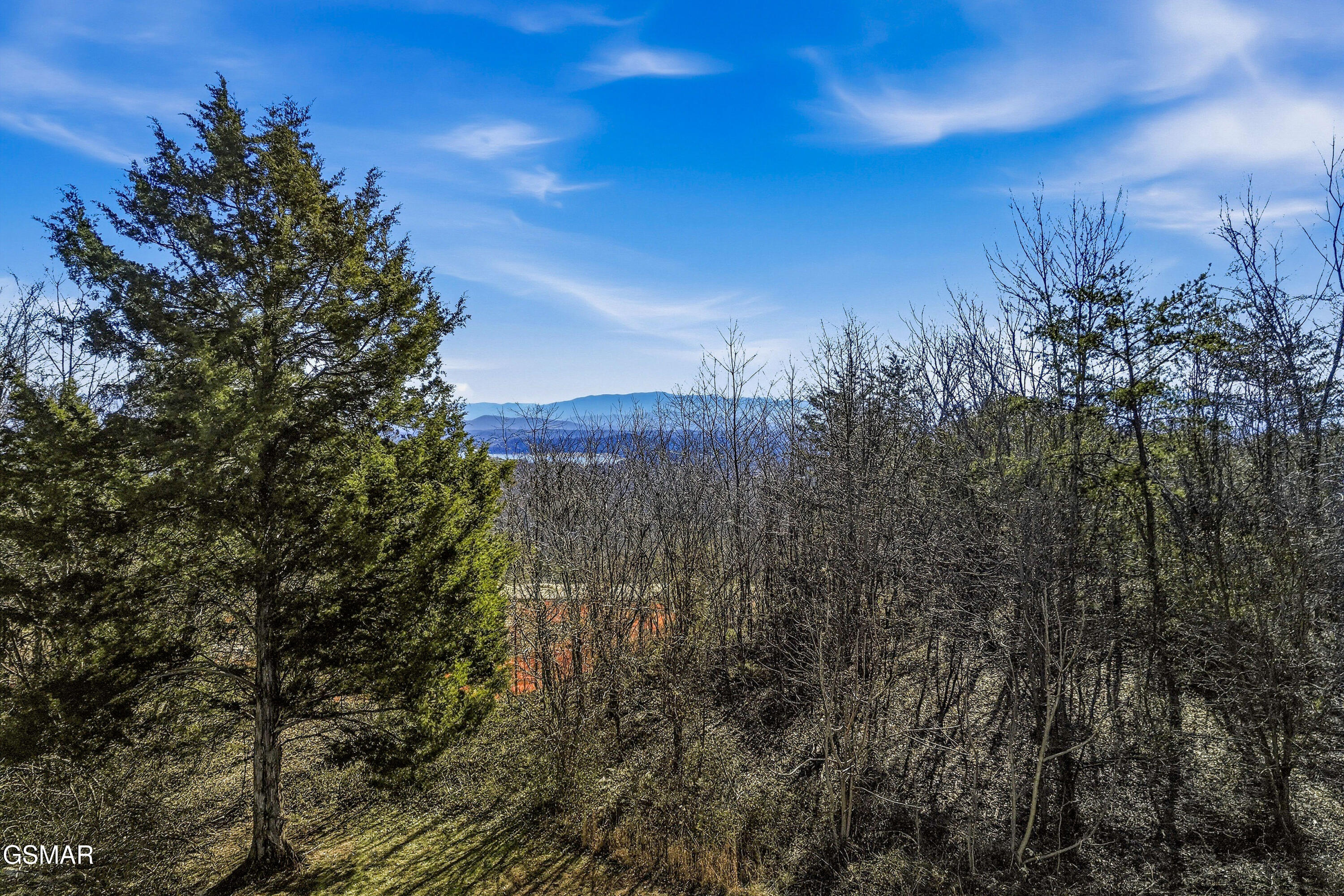 2821 Burnett Drive Kodak TN 37764