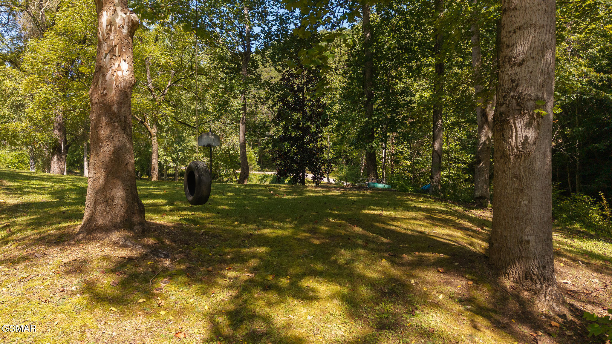 997 Miller Hollow Road Bean Station TN 37708