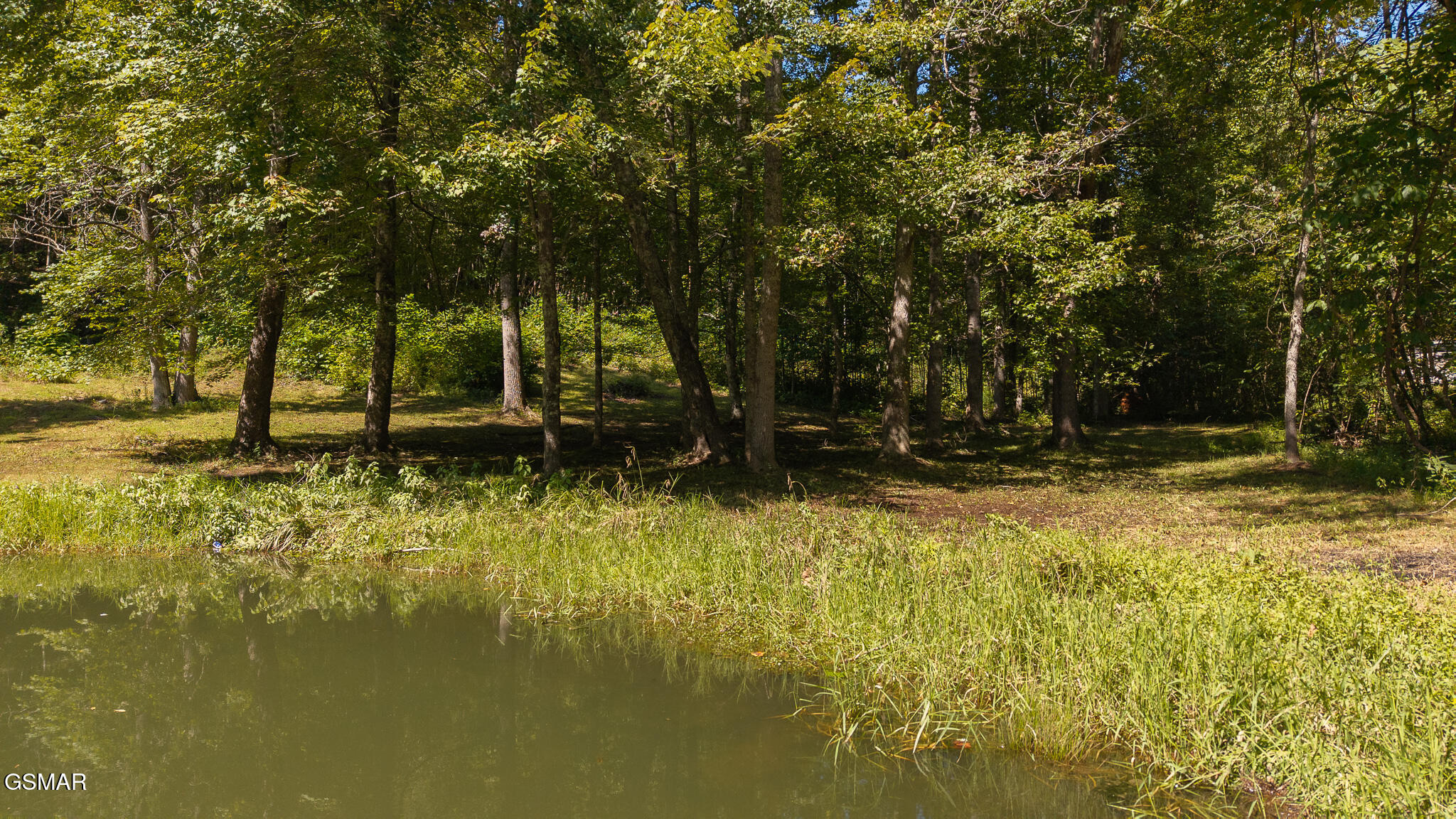 997 Miller Hollow Road Bean Station TN 37708