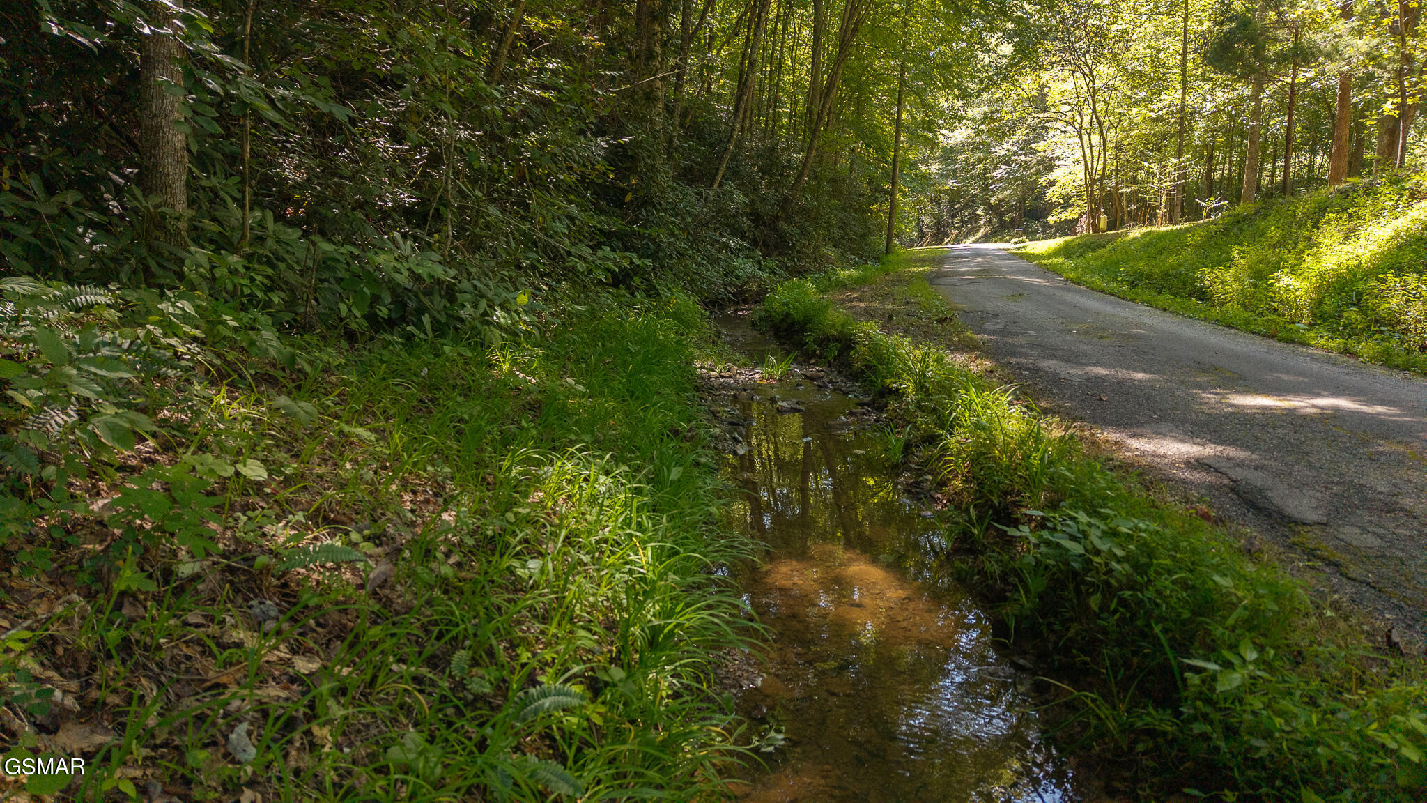 997 Miller Hollow Road Bean Station TN 37708