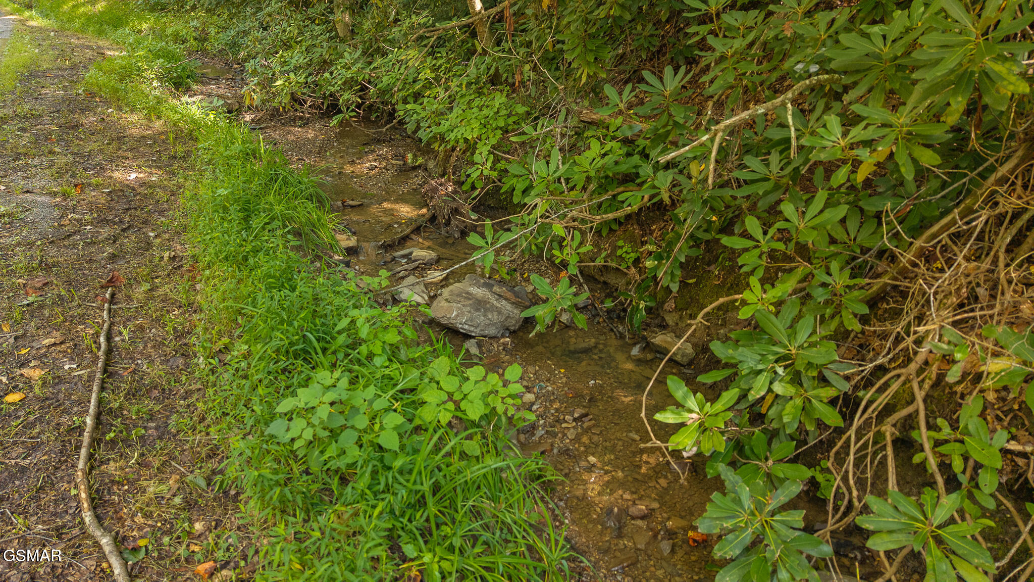 997 Miller Hollow Road Bean Station TN 37708