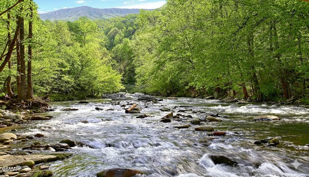 2835 White Oak Ridge Lane Sevierville TN 37862