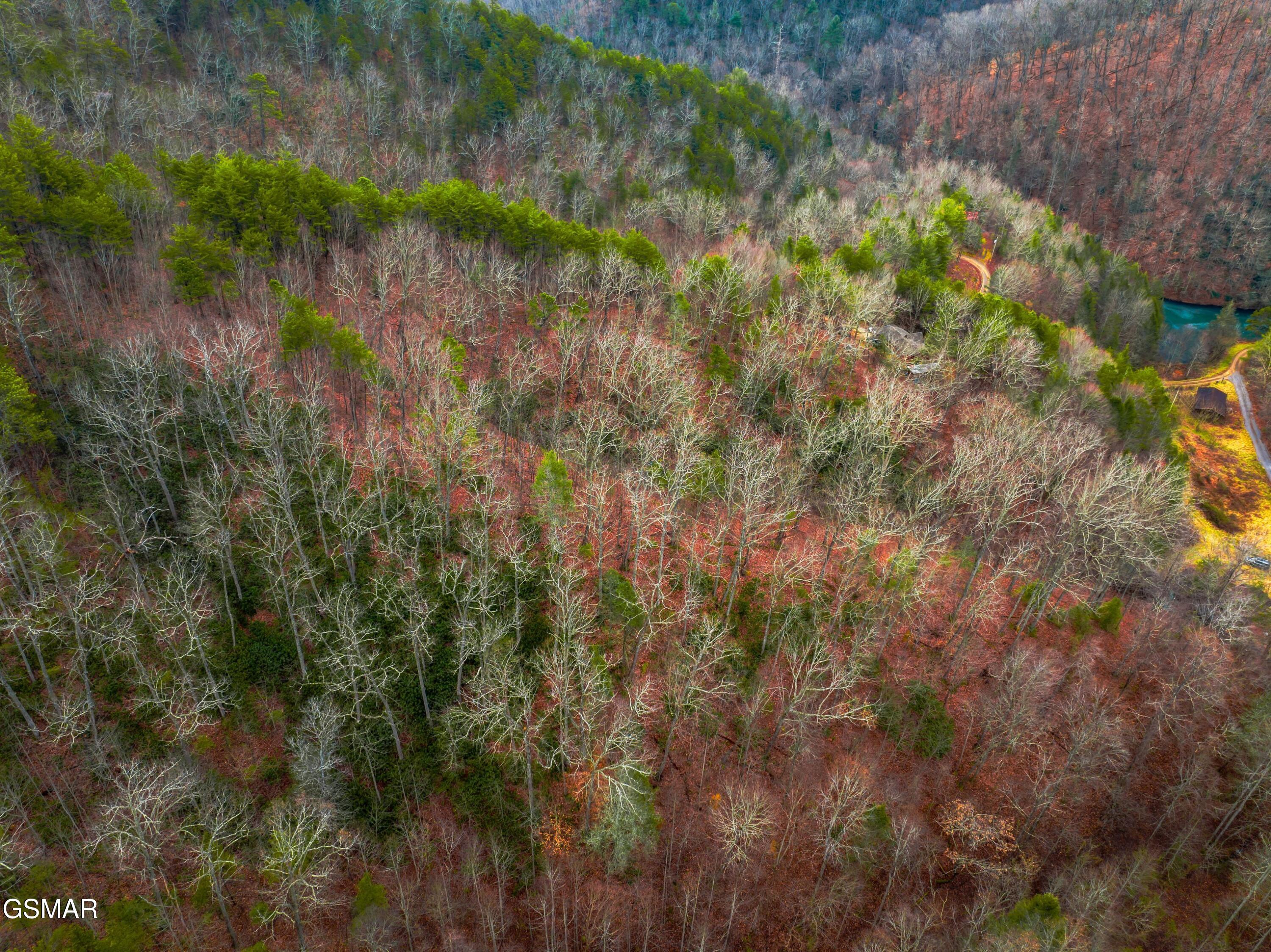 3099 Mica Way Cosby TN 37722