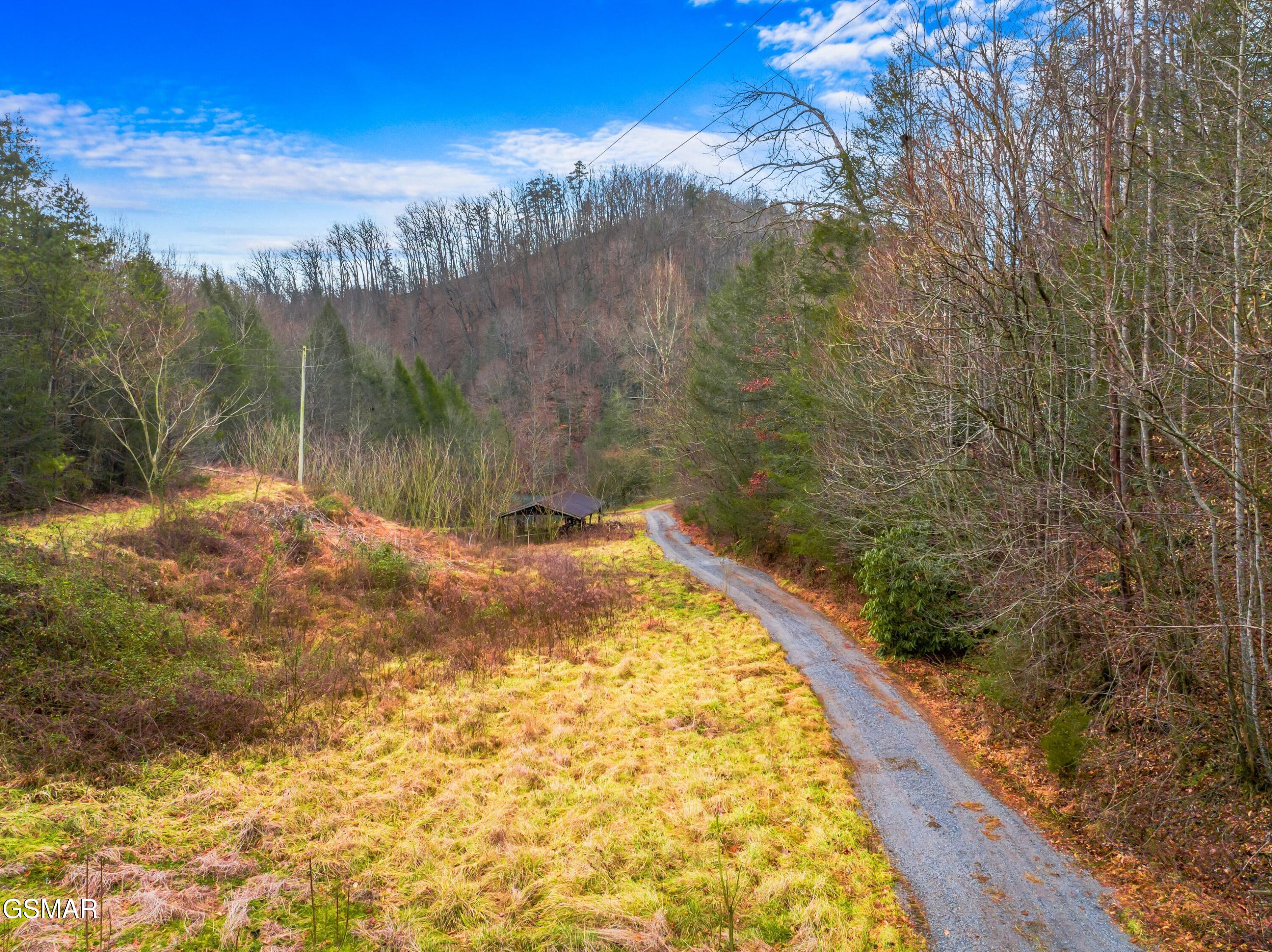 3099 Mica Way Cosby TN 37722