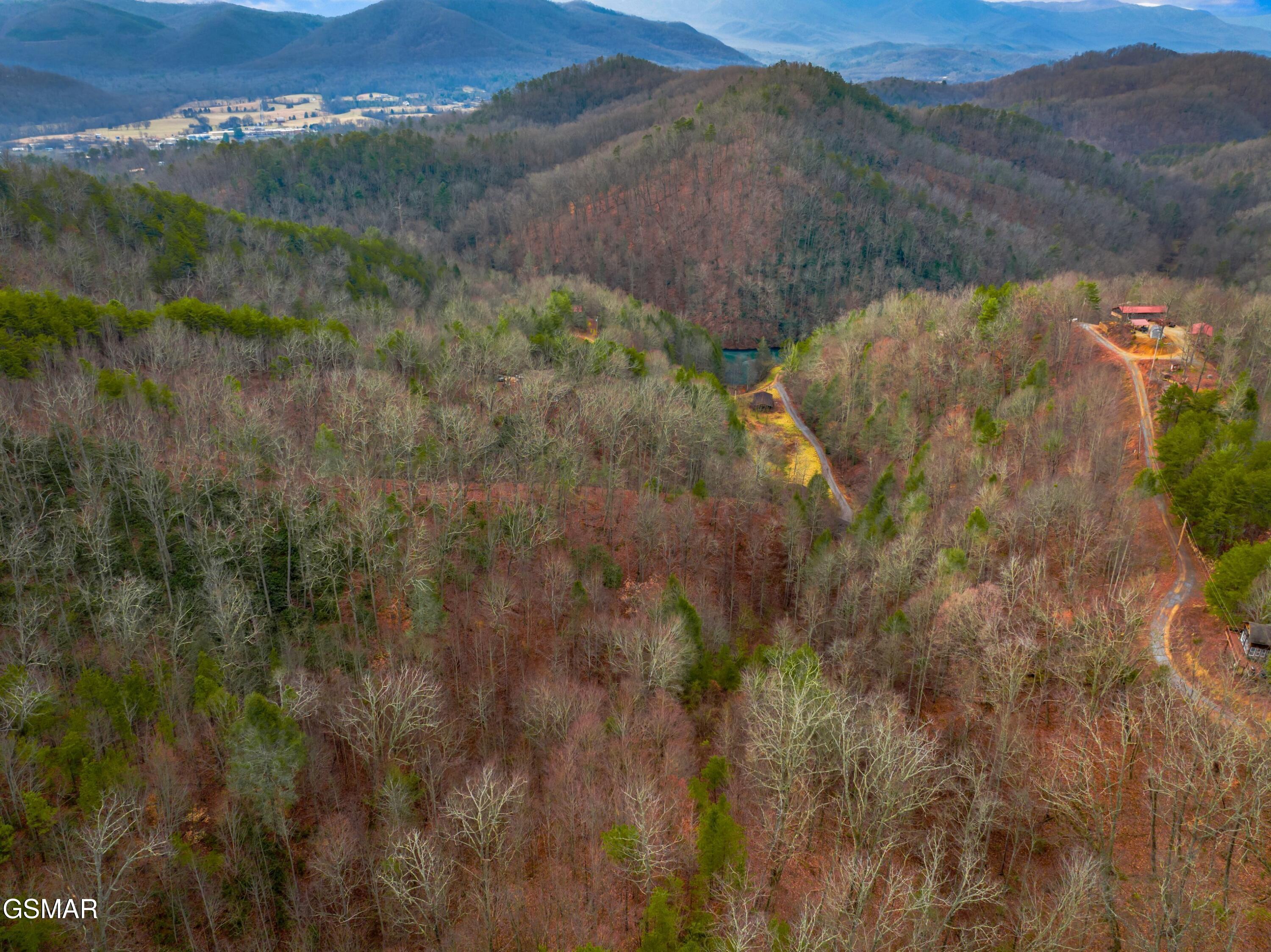 3099 Mica Way Cosby TN 37722