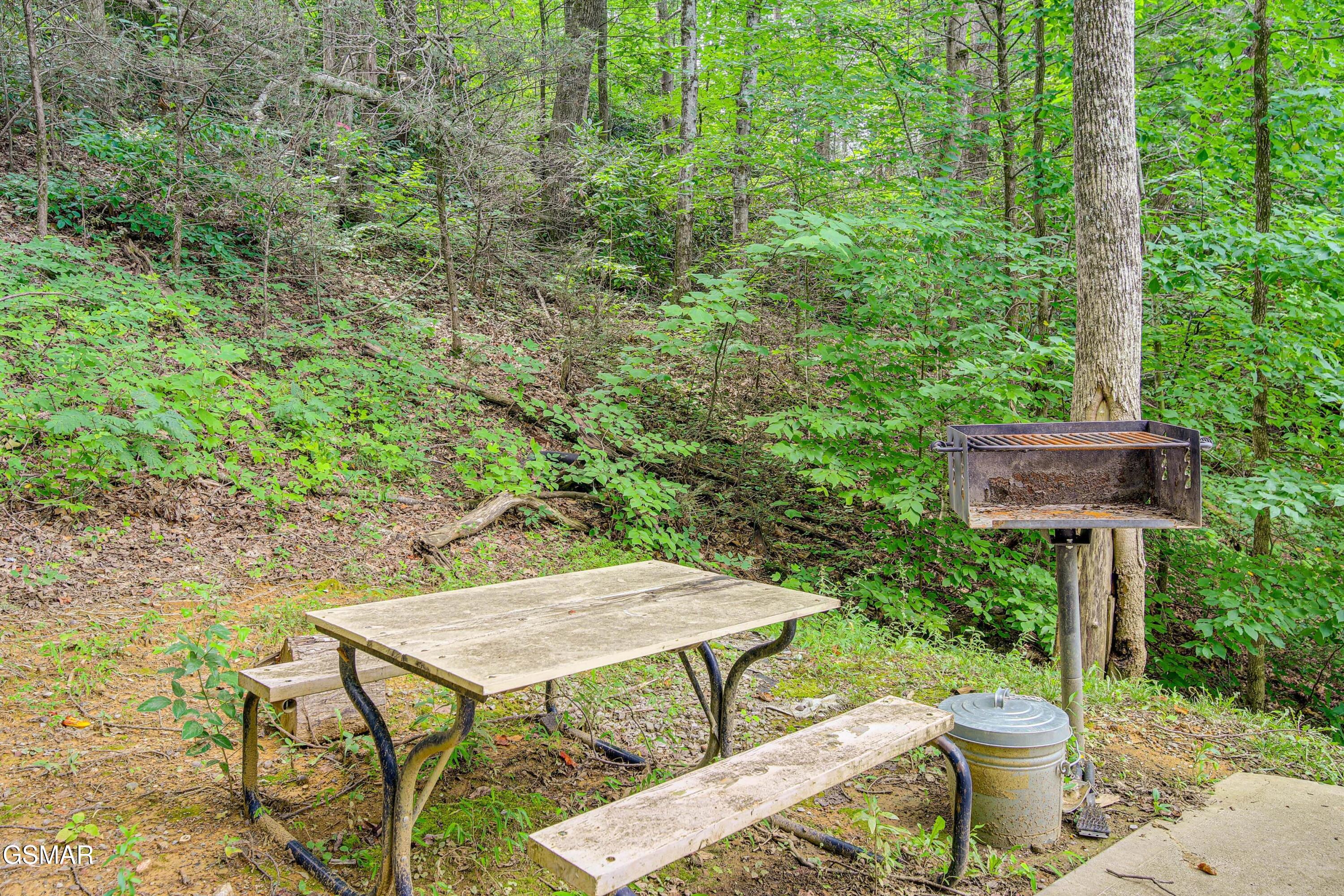 1046 Cheshire Court Gatlinburg TN 37738