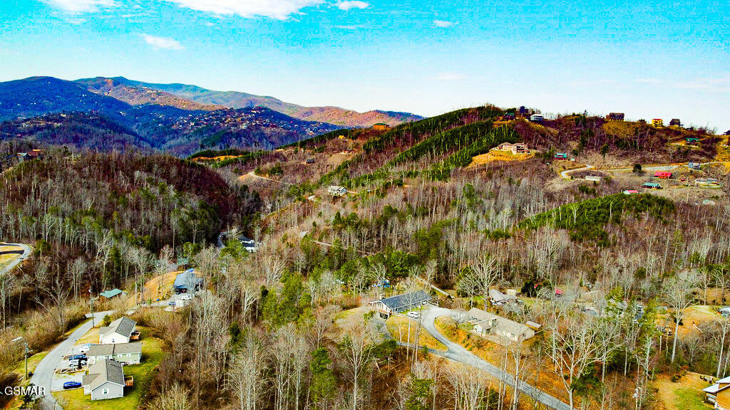 1046 Cheshire Court Gatlinburg TN 37738