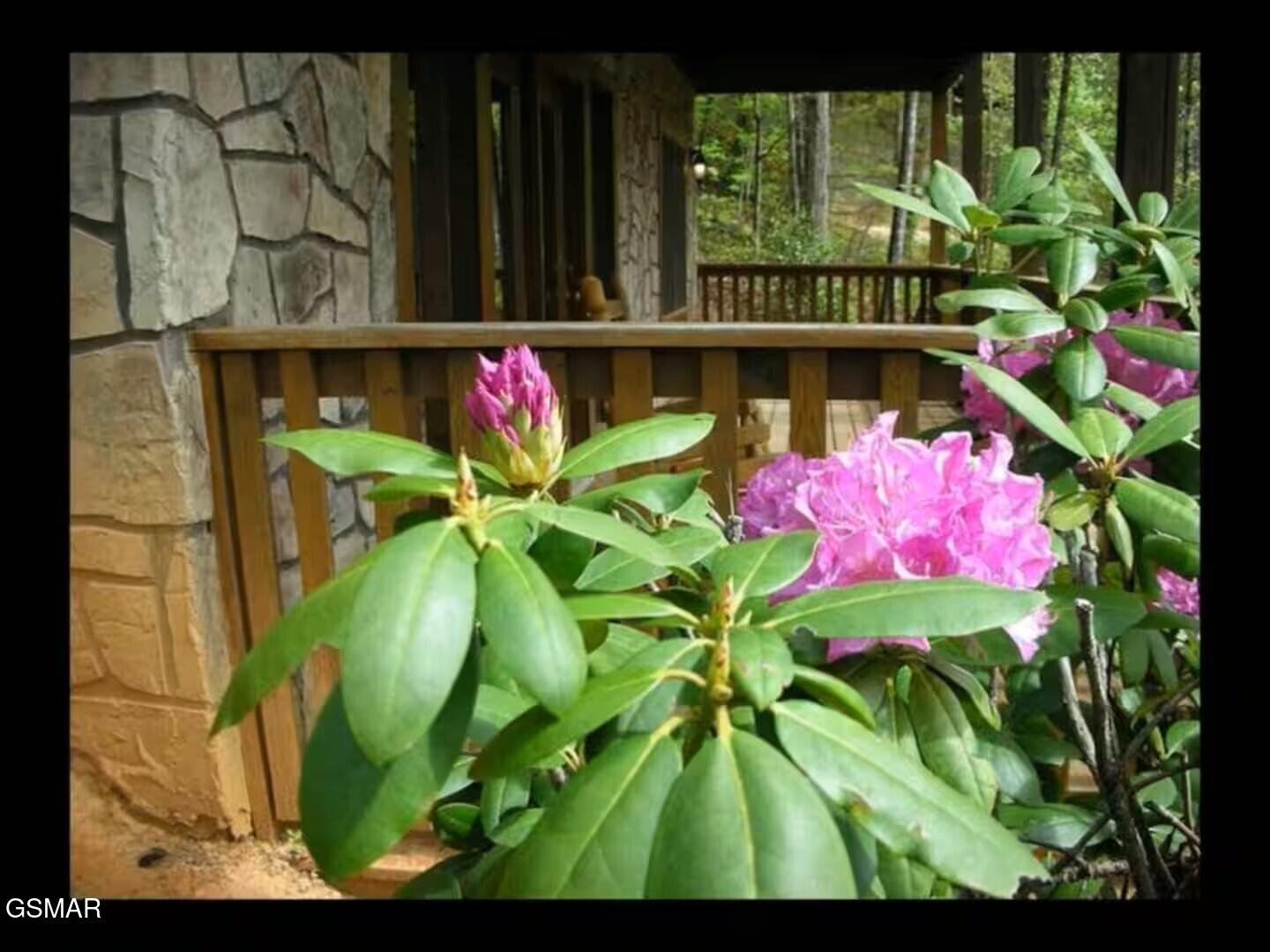 749 Yona Trail Way Gatlinburg TN 37738
