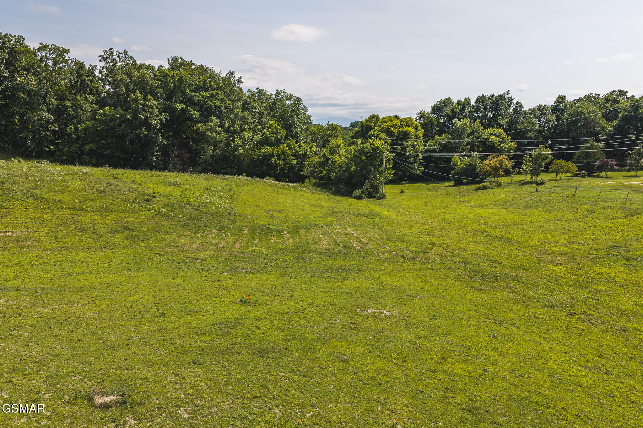 1550 Geranium Way Parrottsville TN 37843