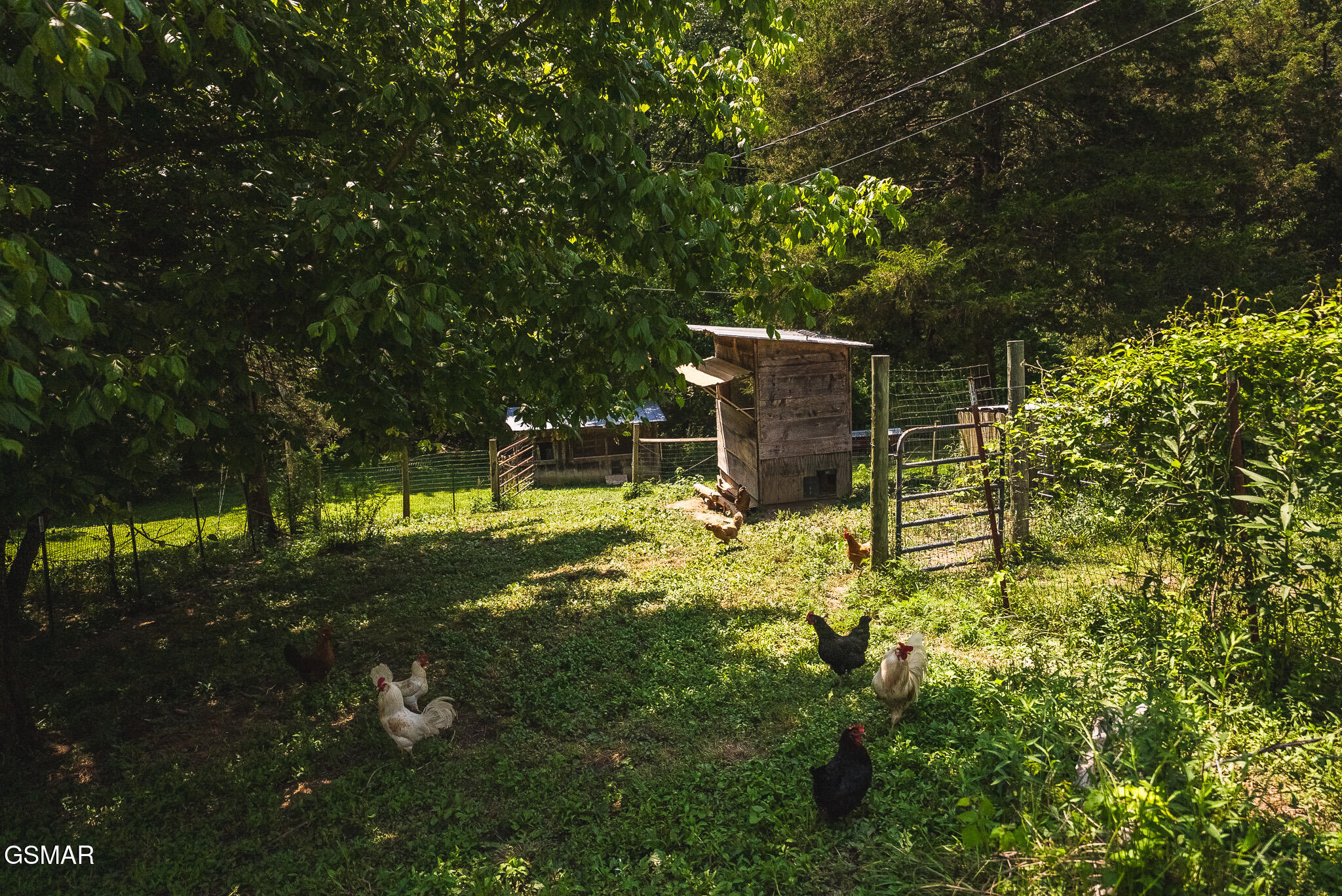 1550 Geranium Way Parrottsville TN 37843