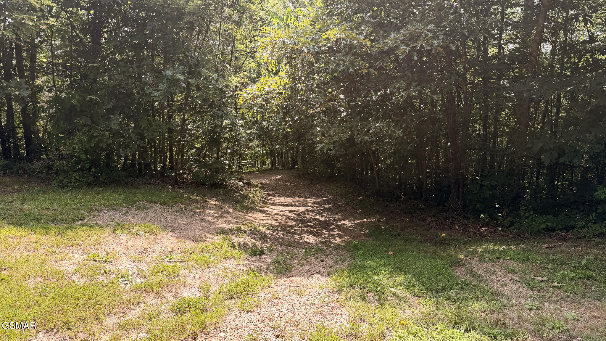 1550 Geranium Way Parrottsville TN 37843