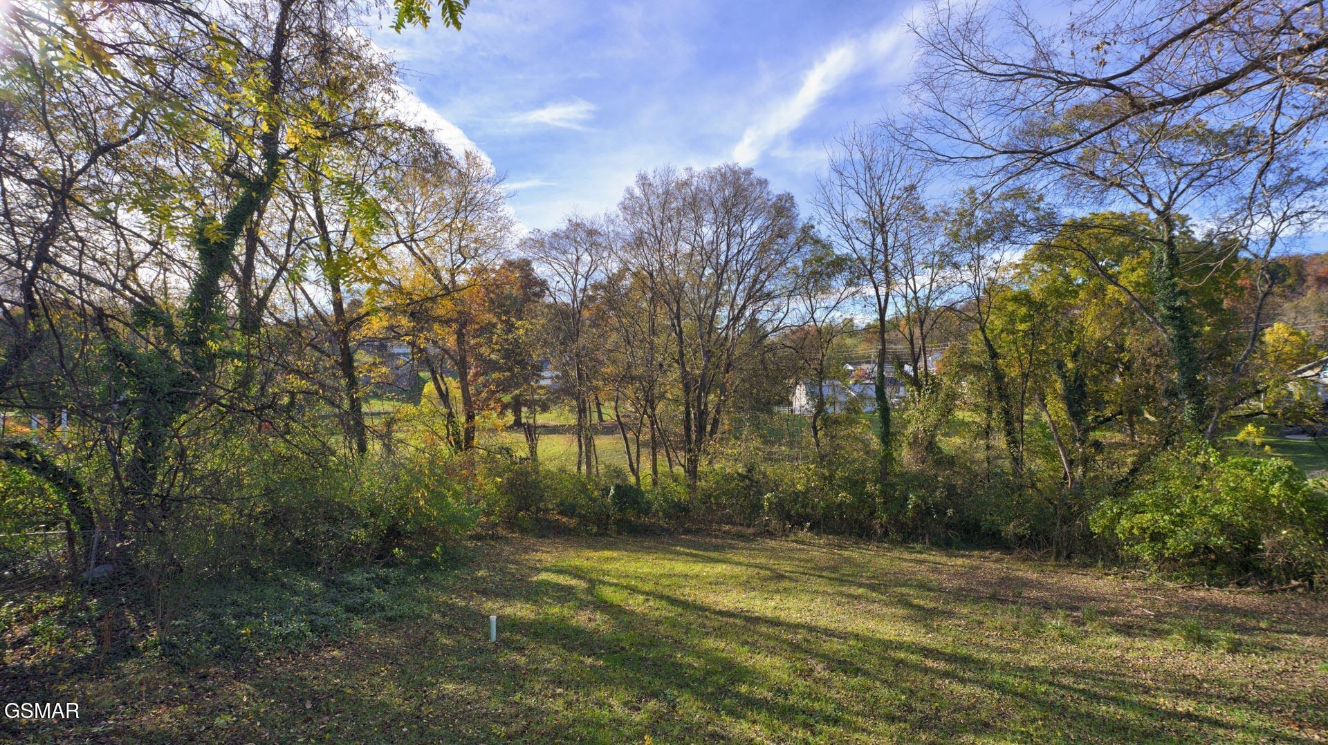 135 Blazer Street Newport TN 37821
