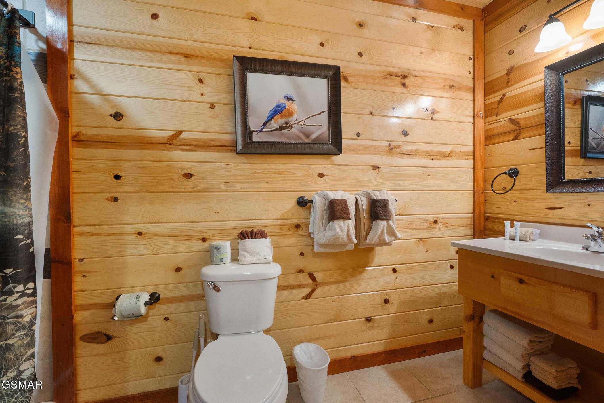 3704 Tilda Hilltop Way Sevierville TN 37862