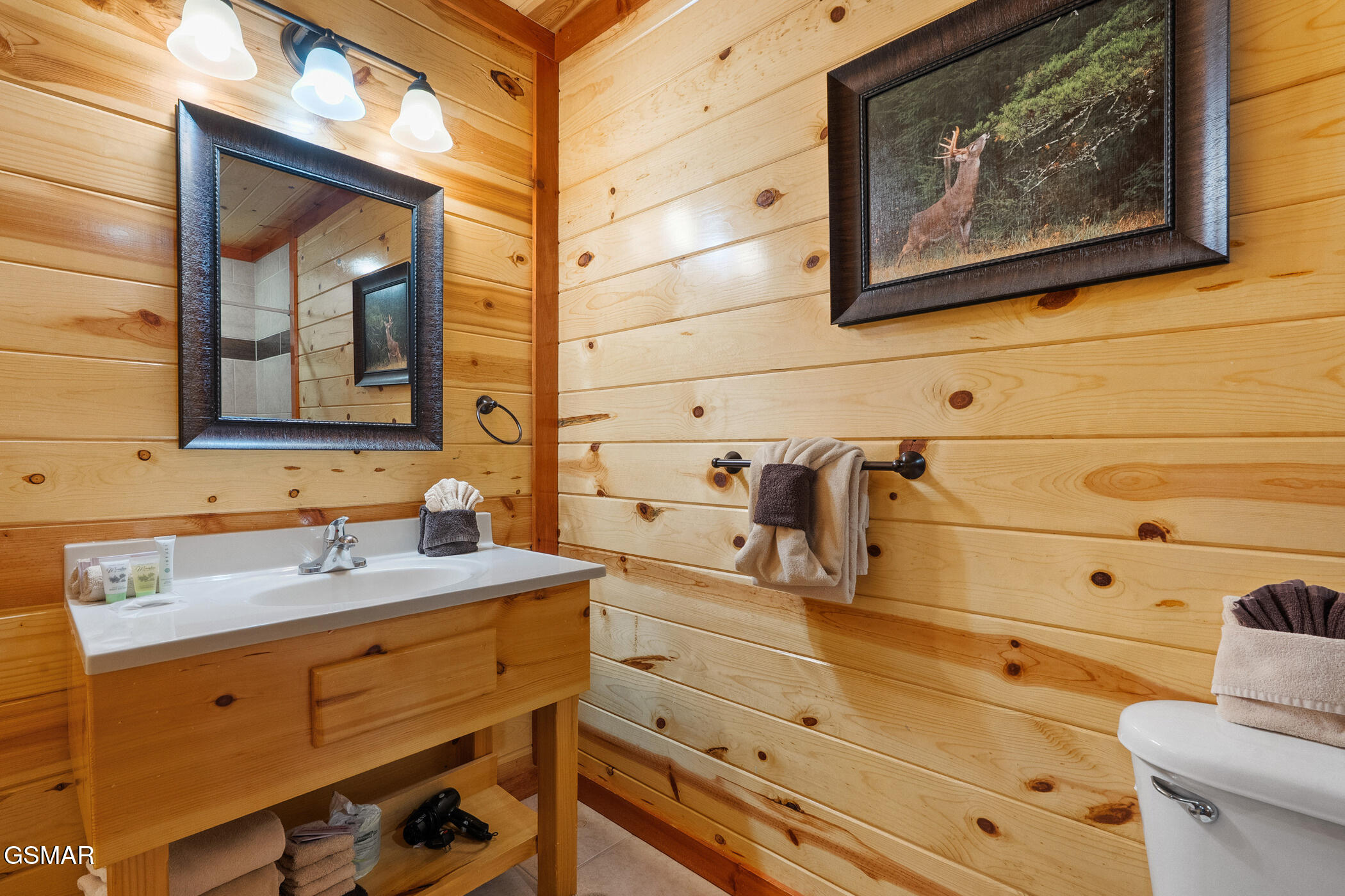 3704 Tilda Hilltop Way Sevierville TN 37862