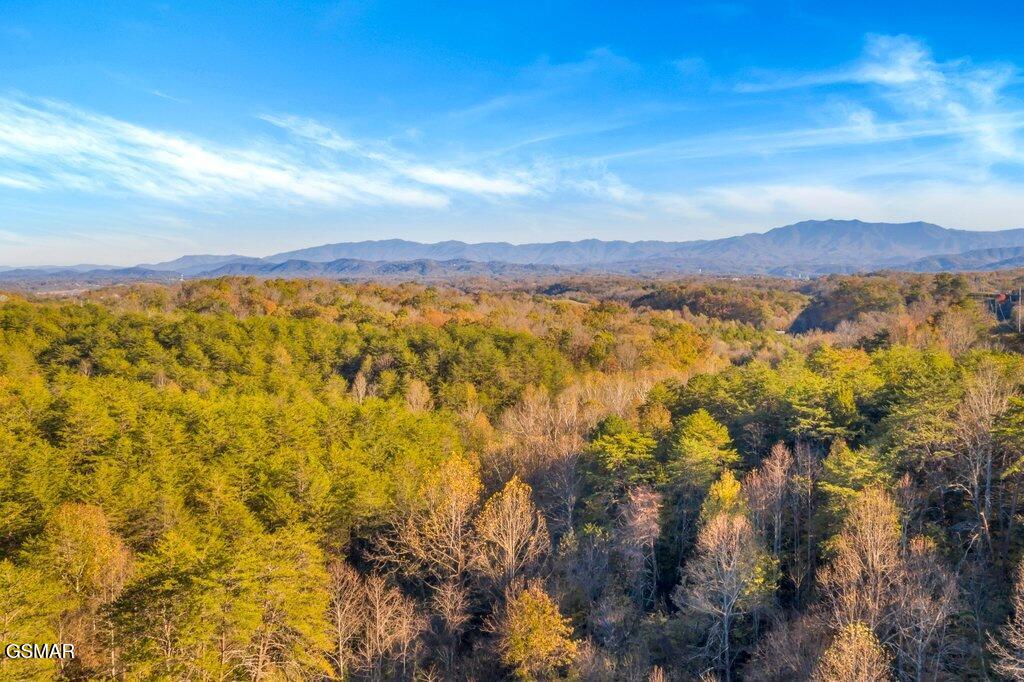 664 Stockton Dr Drive Sevierville TN 37876