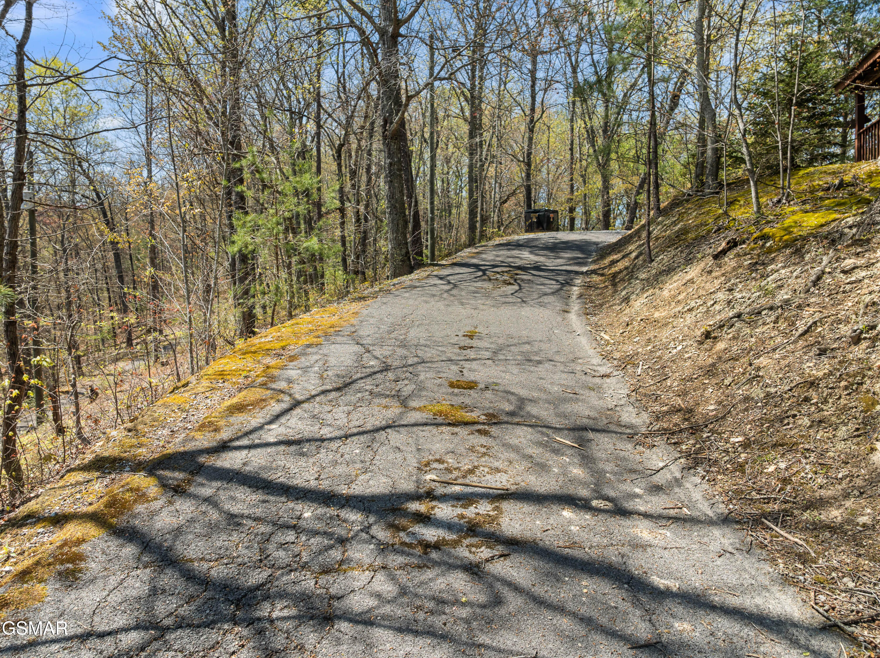 4388 Carolina Cove Way Pigeon Forge TN 37863